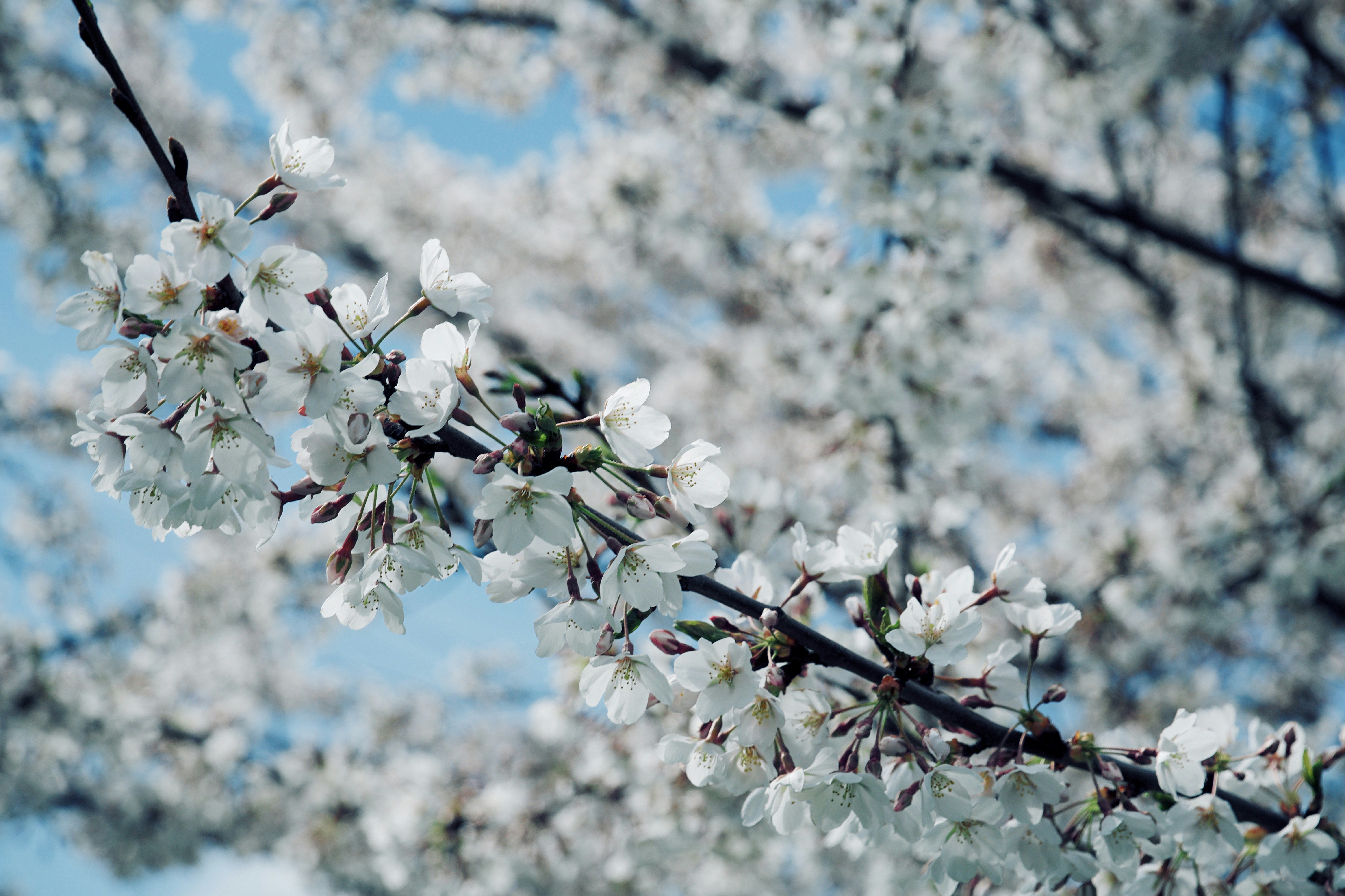 Photo by parvizphotography