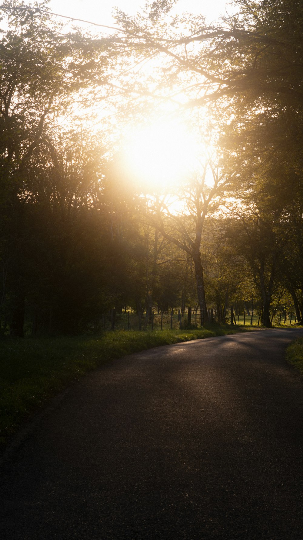 the sun is shining through the trees in the park