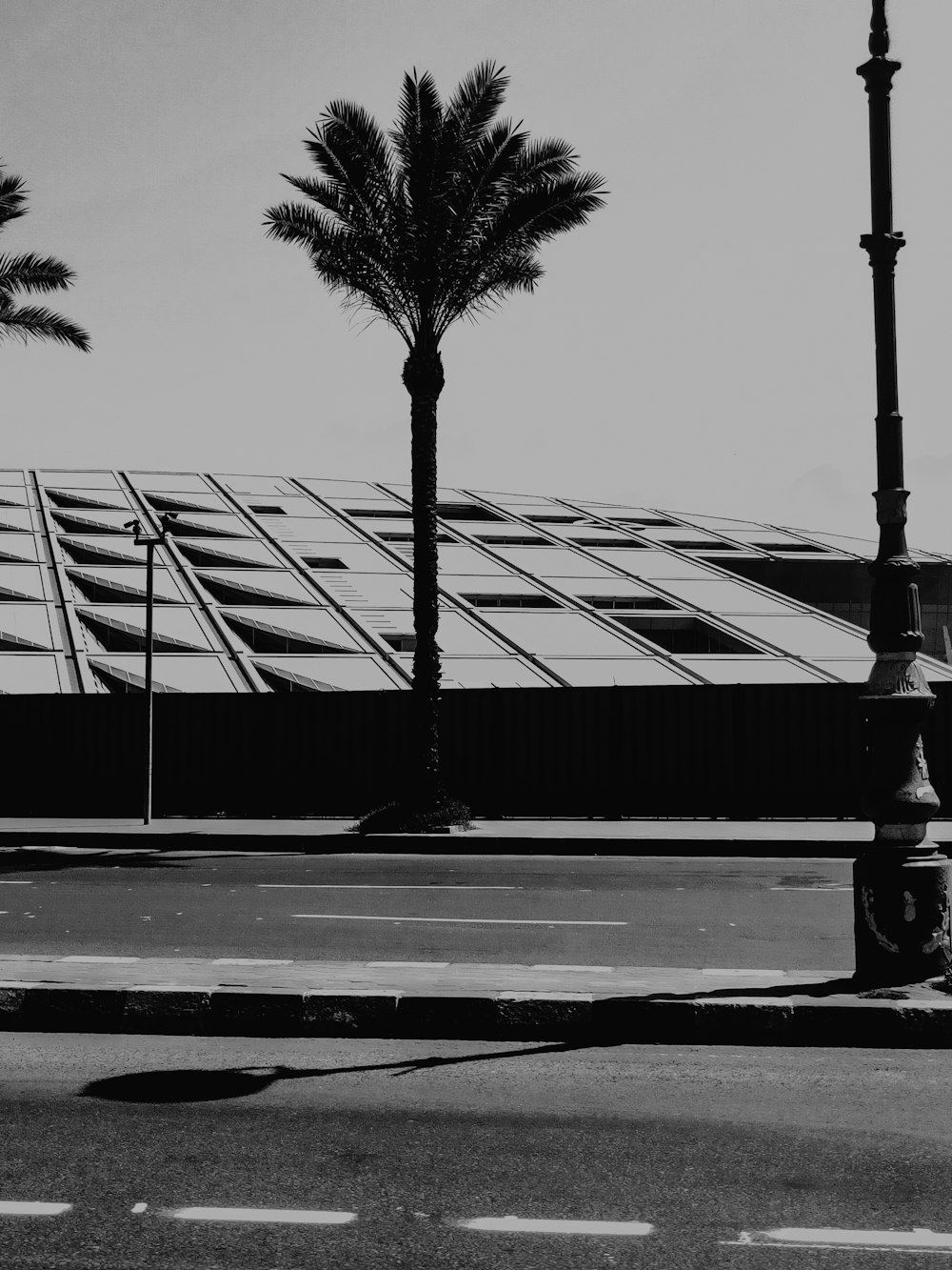 a black and white photo of a building with palm trees