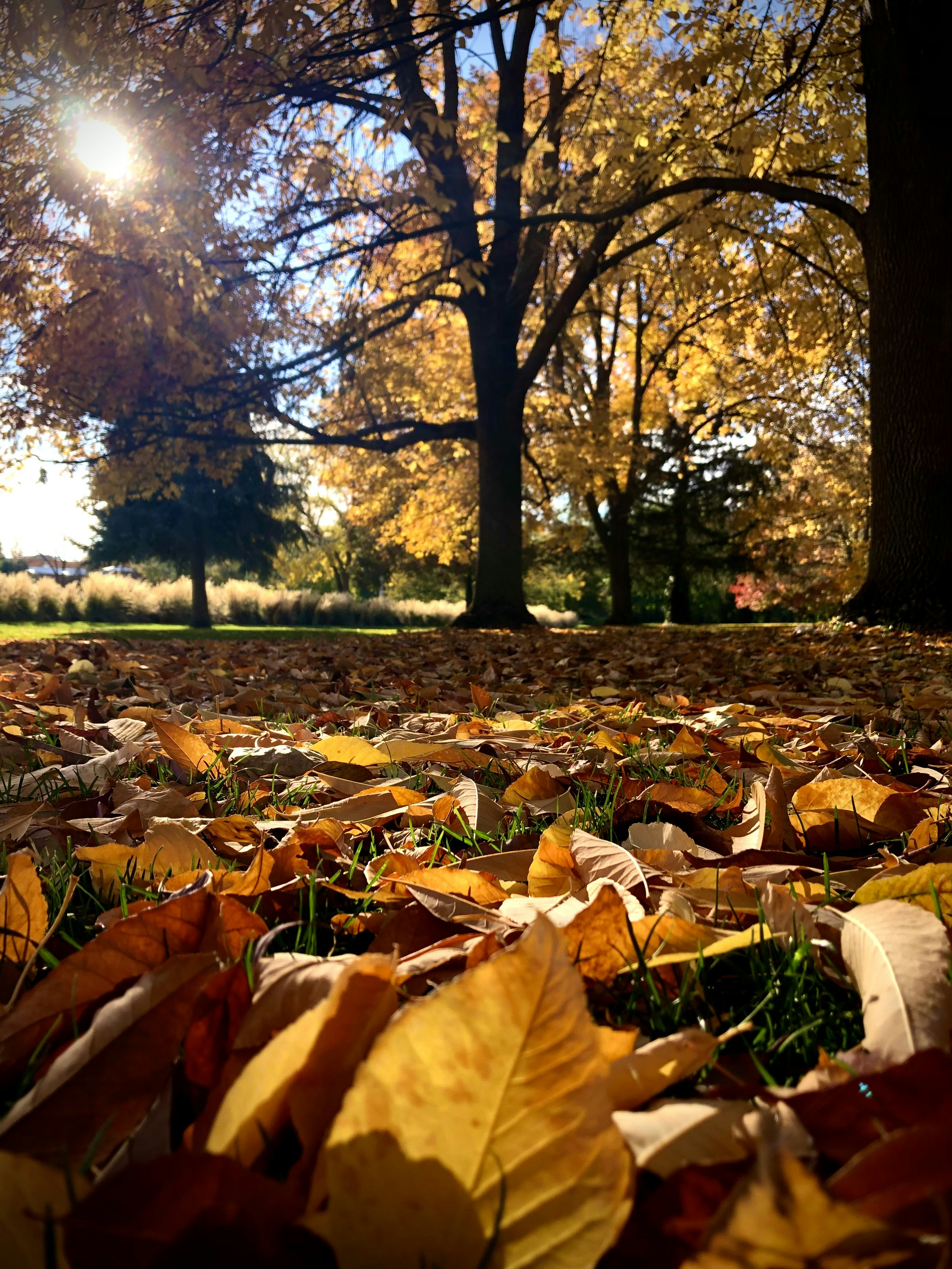 Photo by elisastonephotography