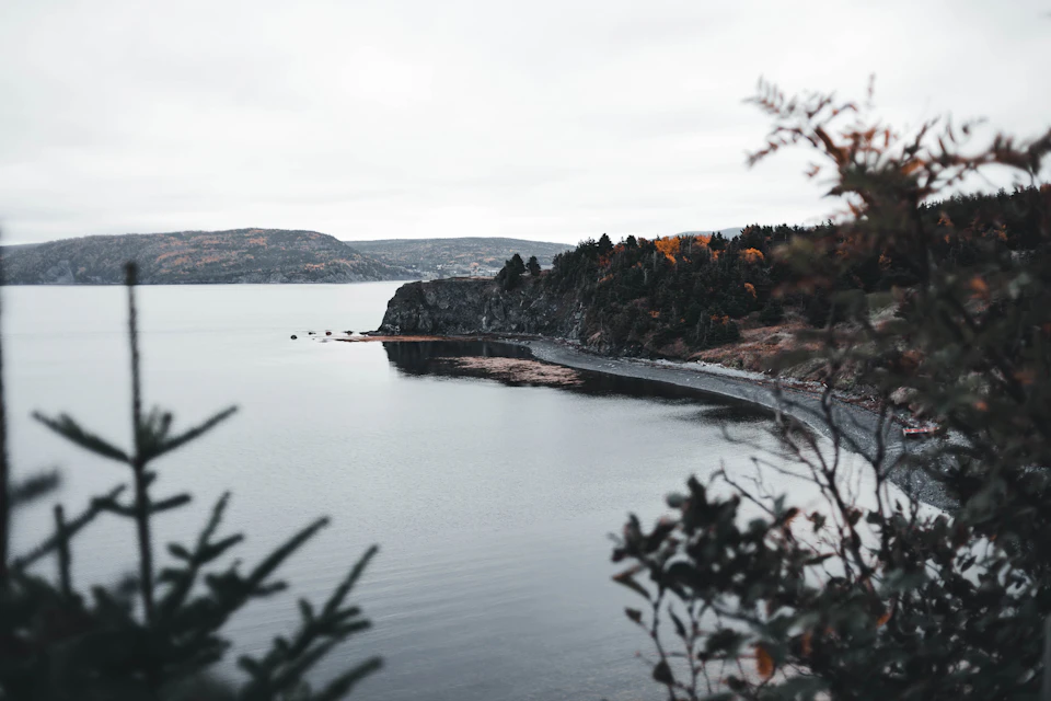 Winding road cuts through lush forested area, leading to cliff overlooking water below landscape