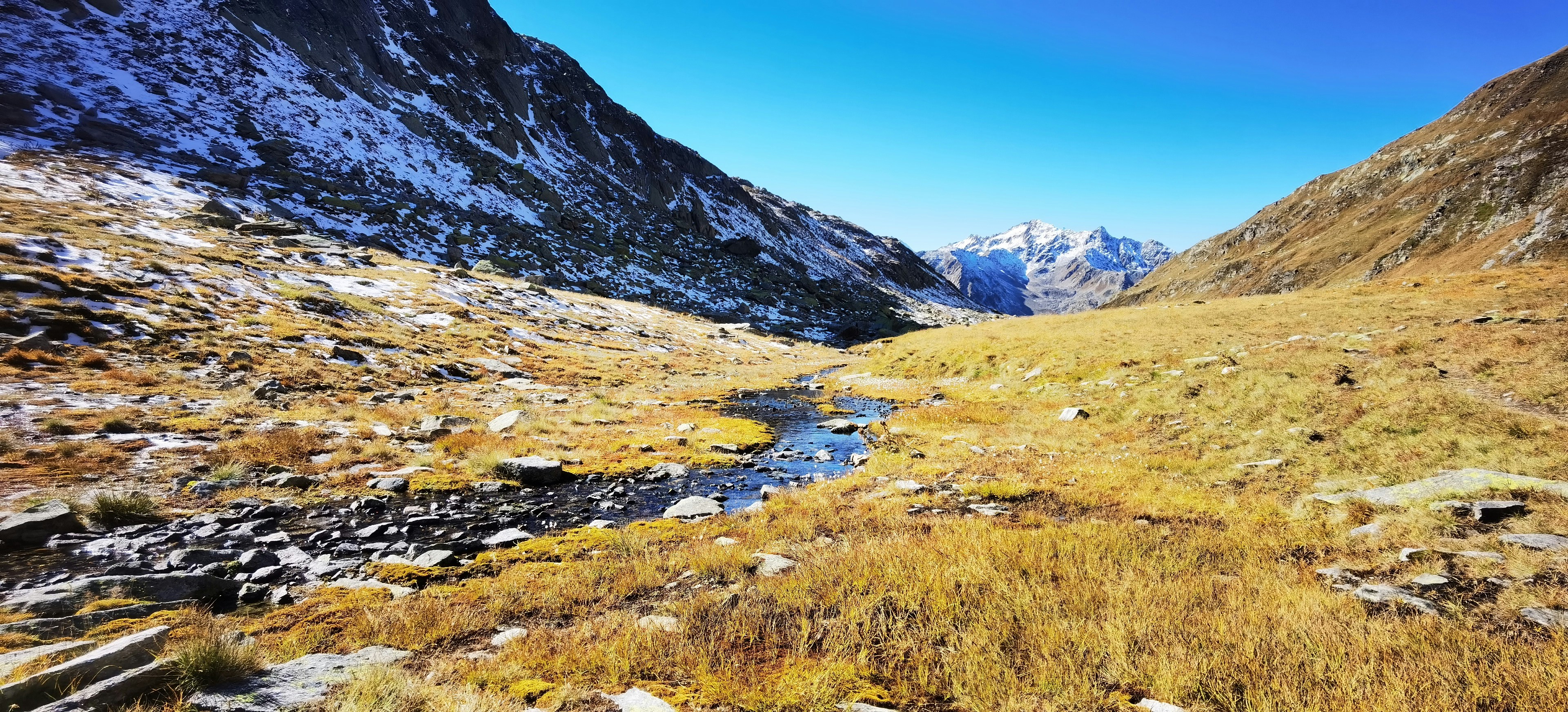 Photo by naturalmystic