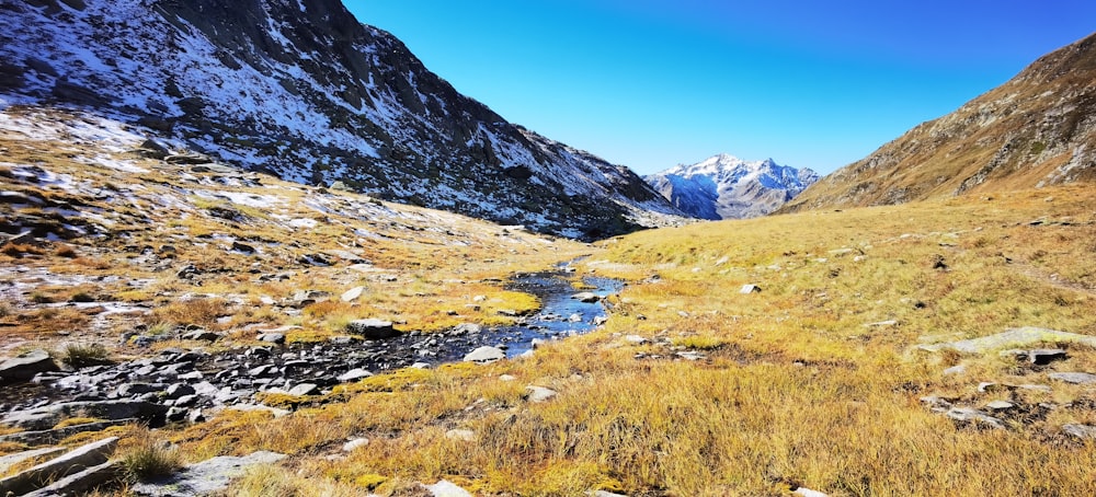 a mountain valley with a stream running through it