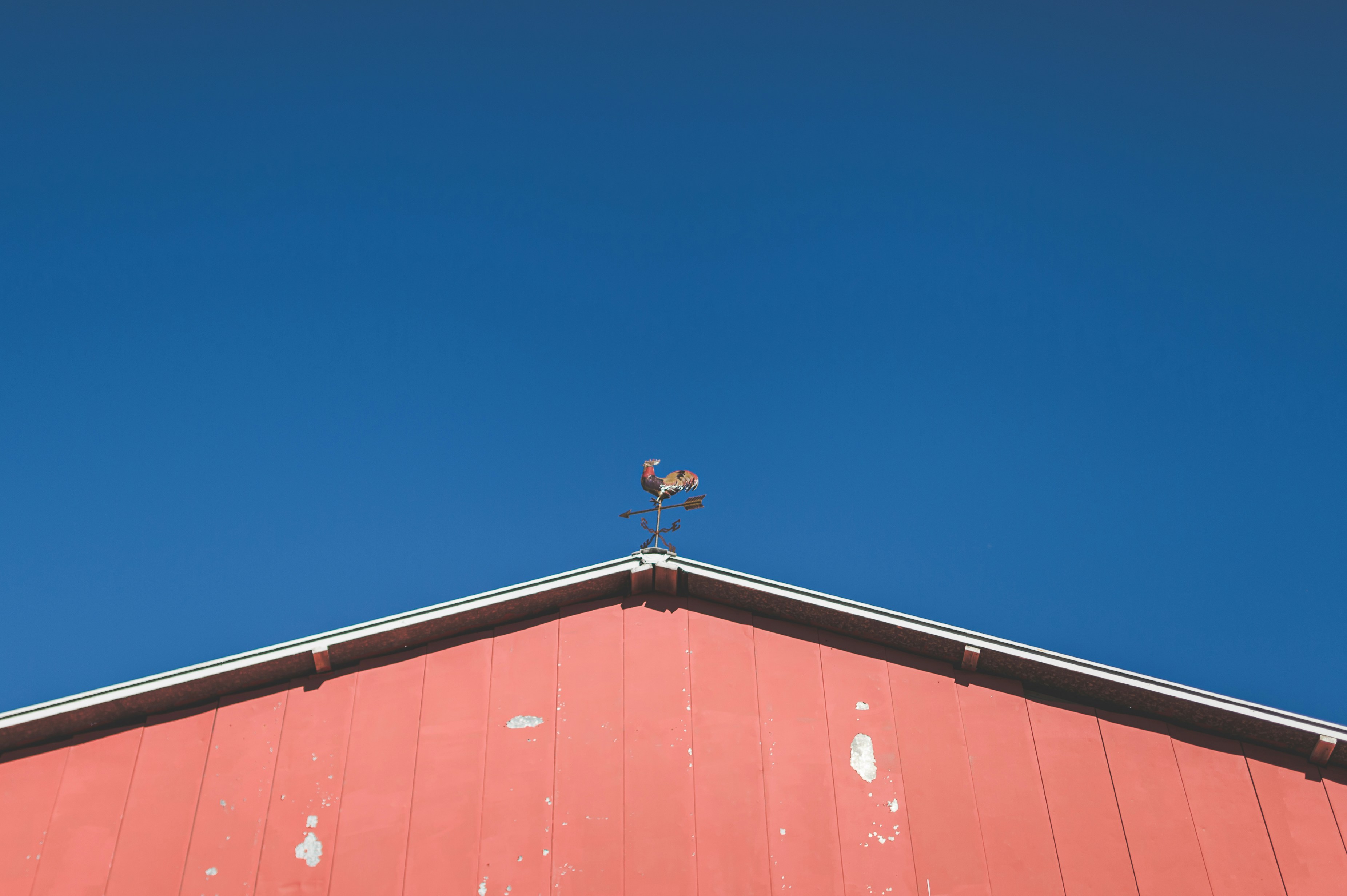 a small bird sitting on top of a roof