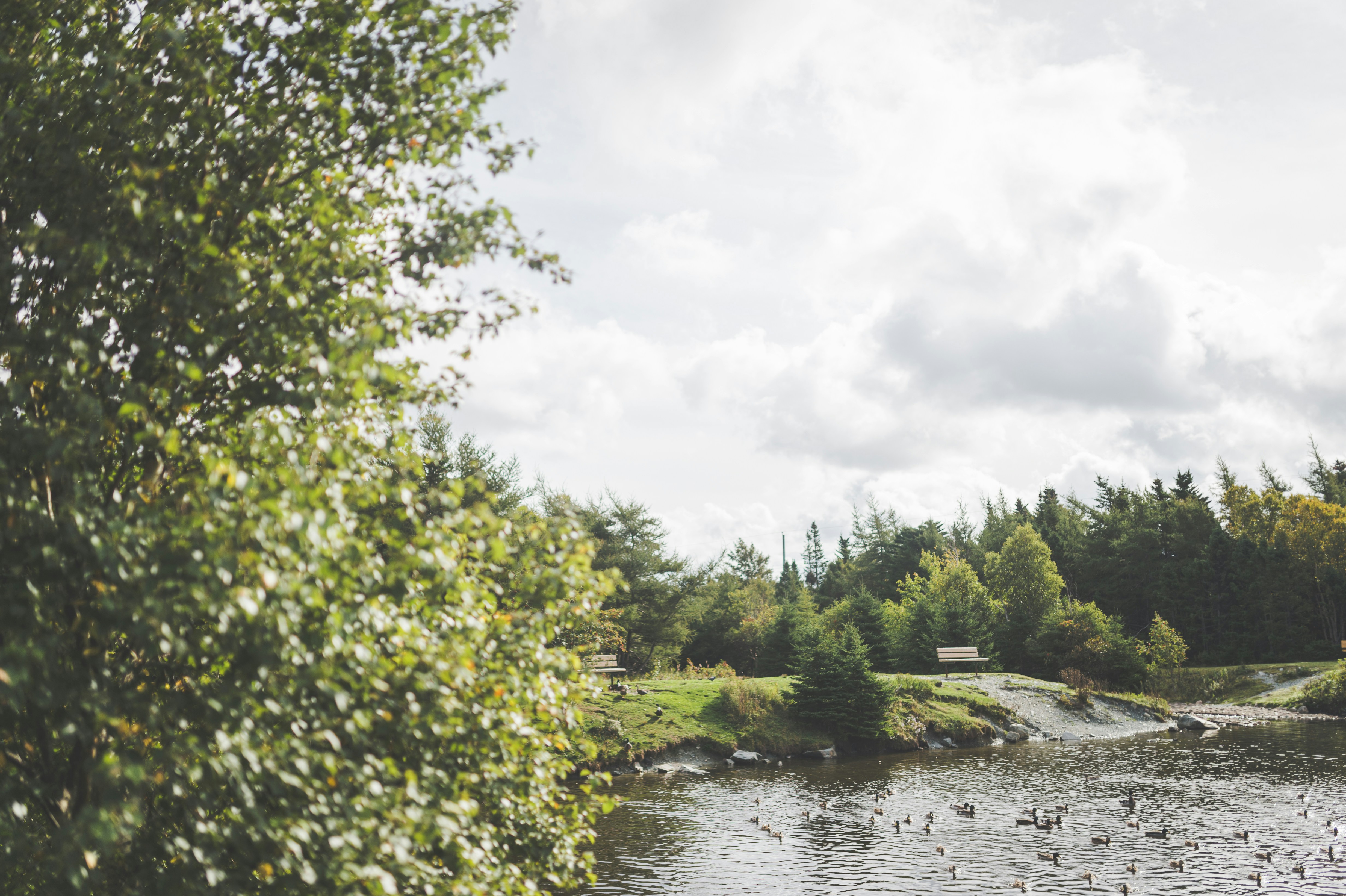 Photo by porkbellysteve