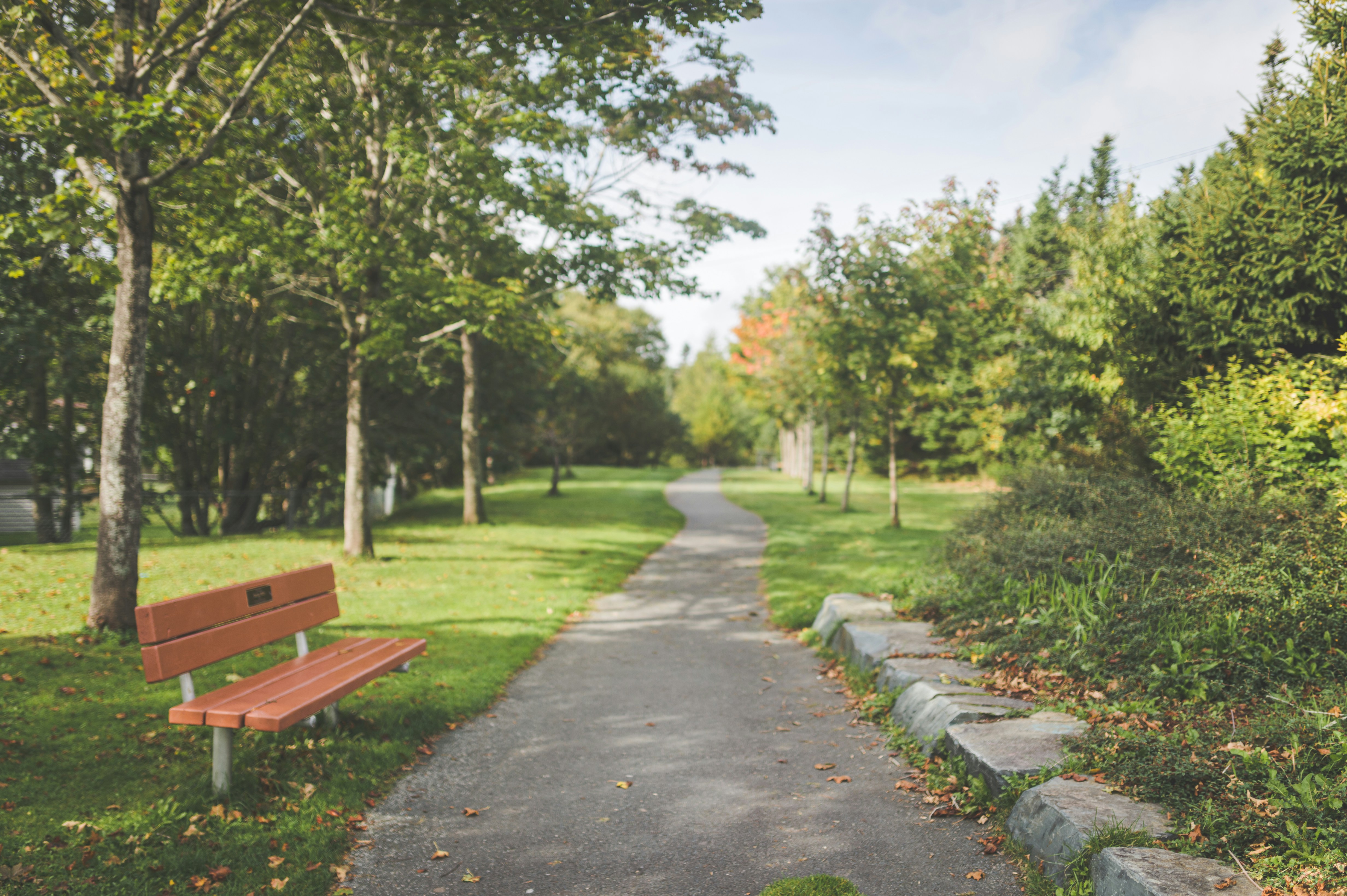 Photo by porkbellysteve