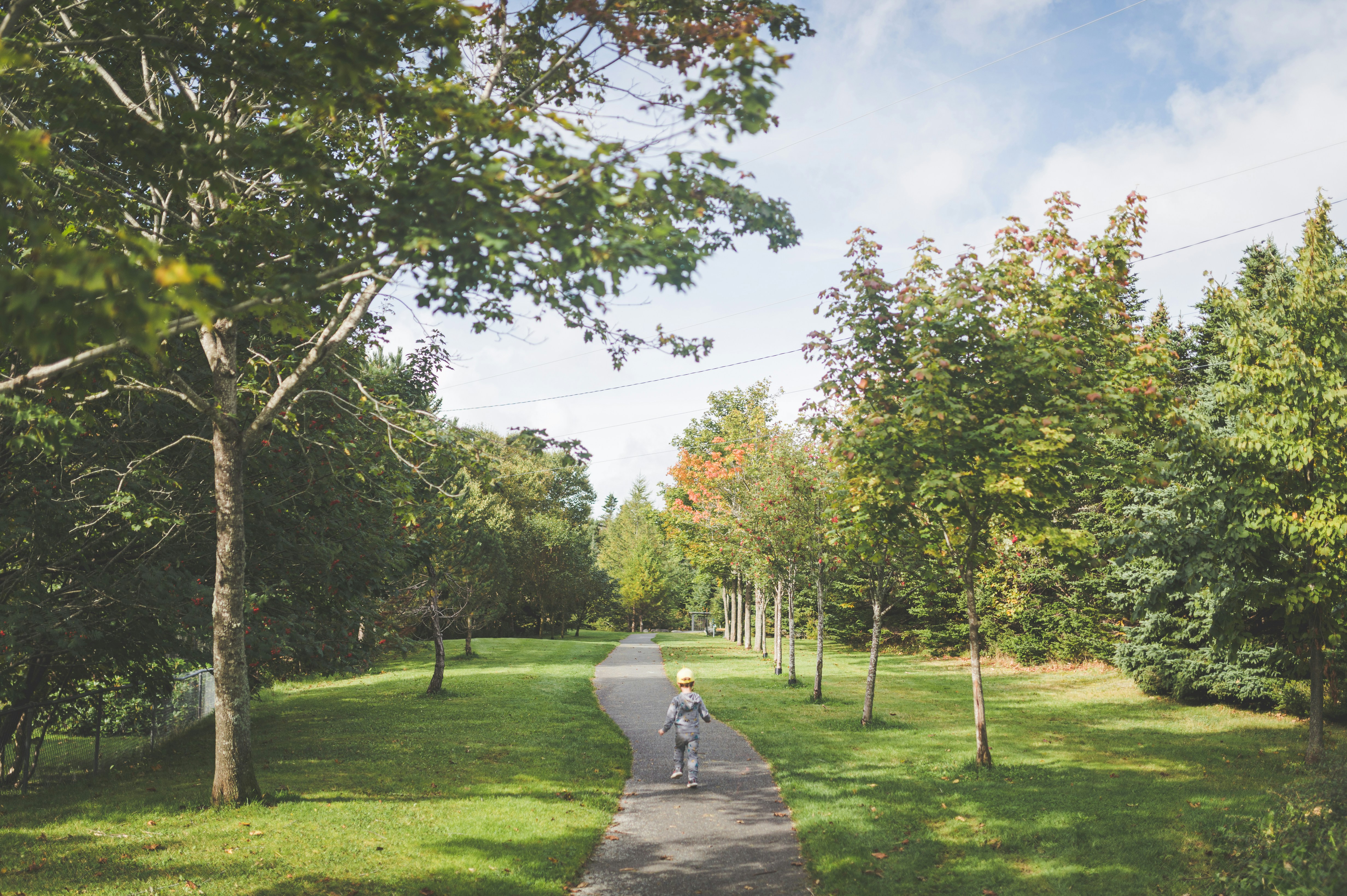 Photo by porkbellysteve