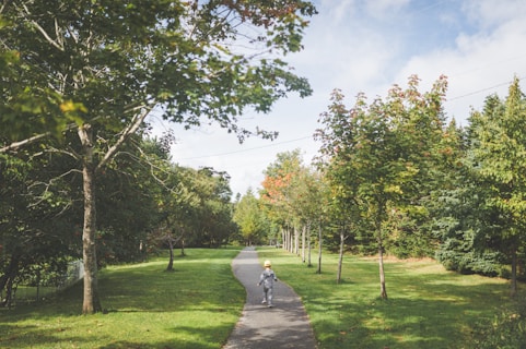 a person riding a bike on a path through a park
