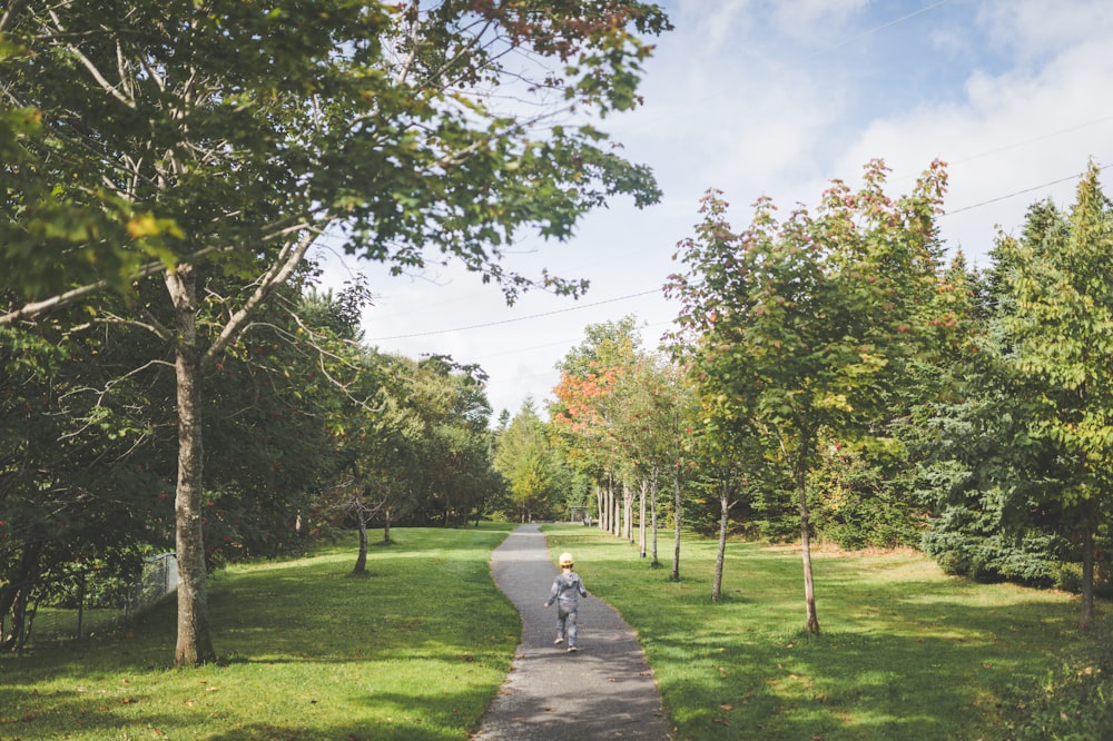 a person riding a bike on a path through a park