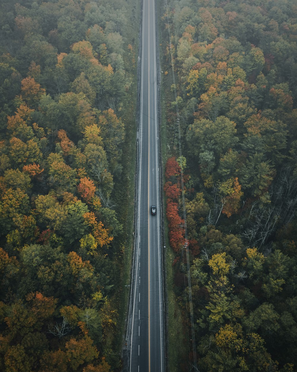 an aerial view of a road surrounded by trees