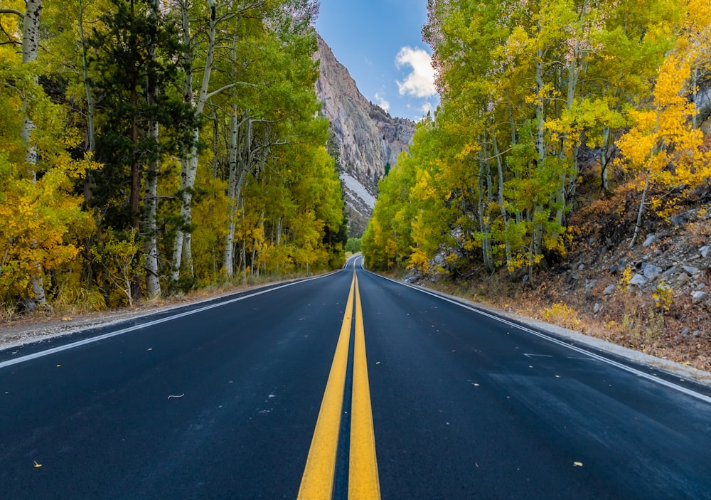 a road with a yellow line in the middle of it