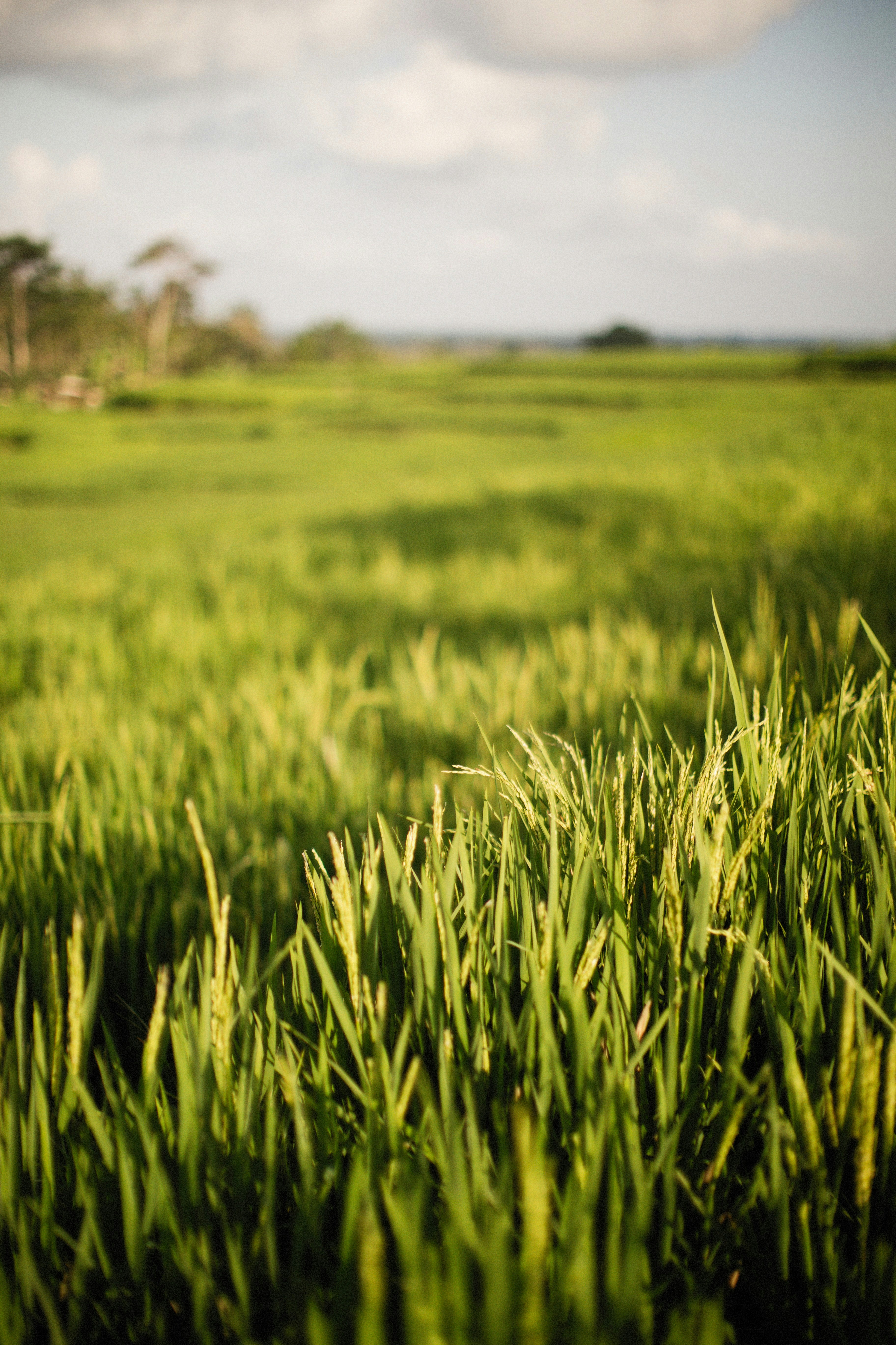 Photo by alexeydemidov