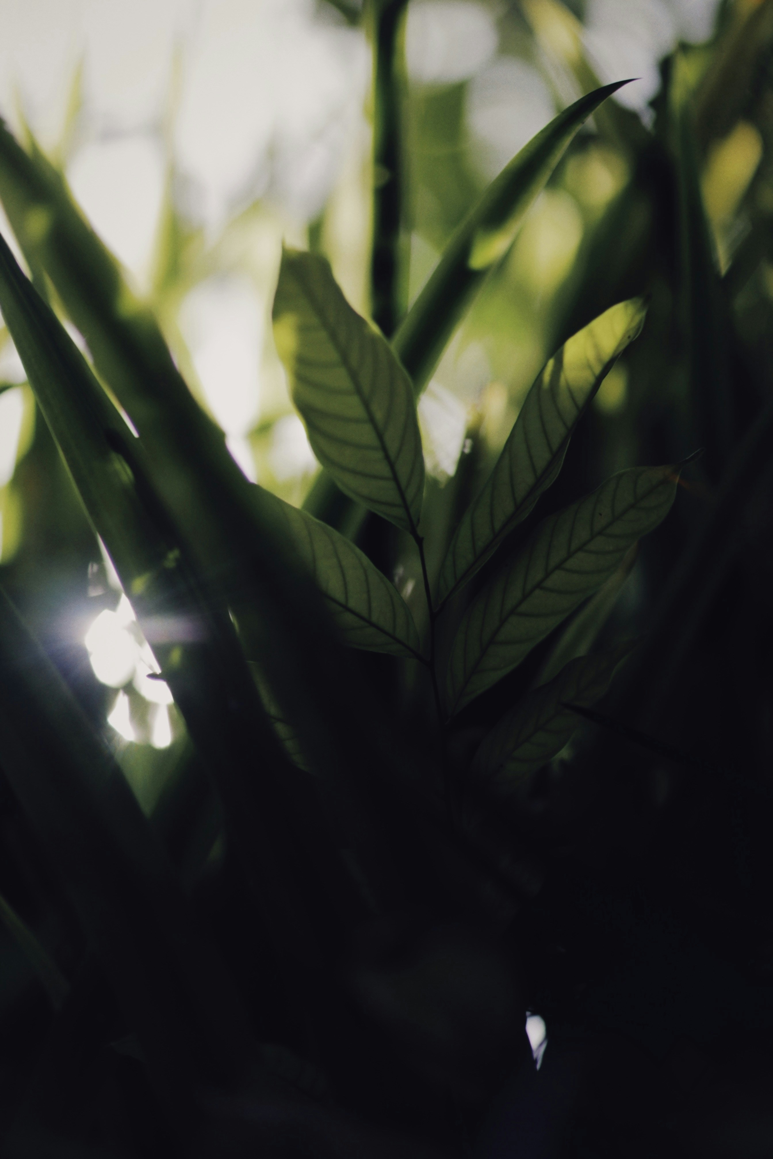 Photo by alexeydemidov