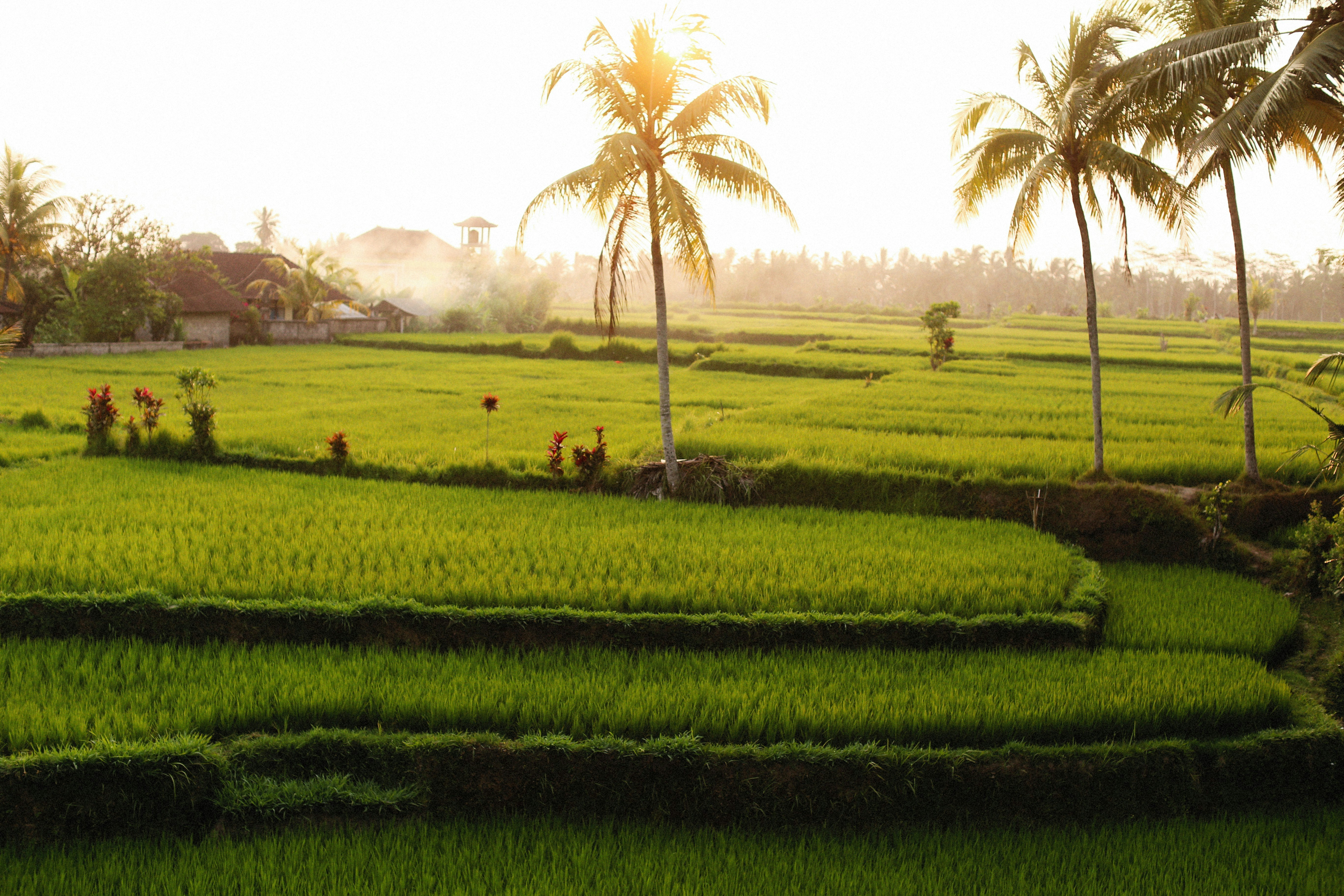 Photo by alexeydemidov