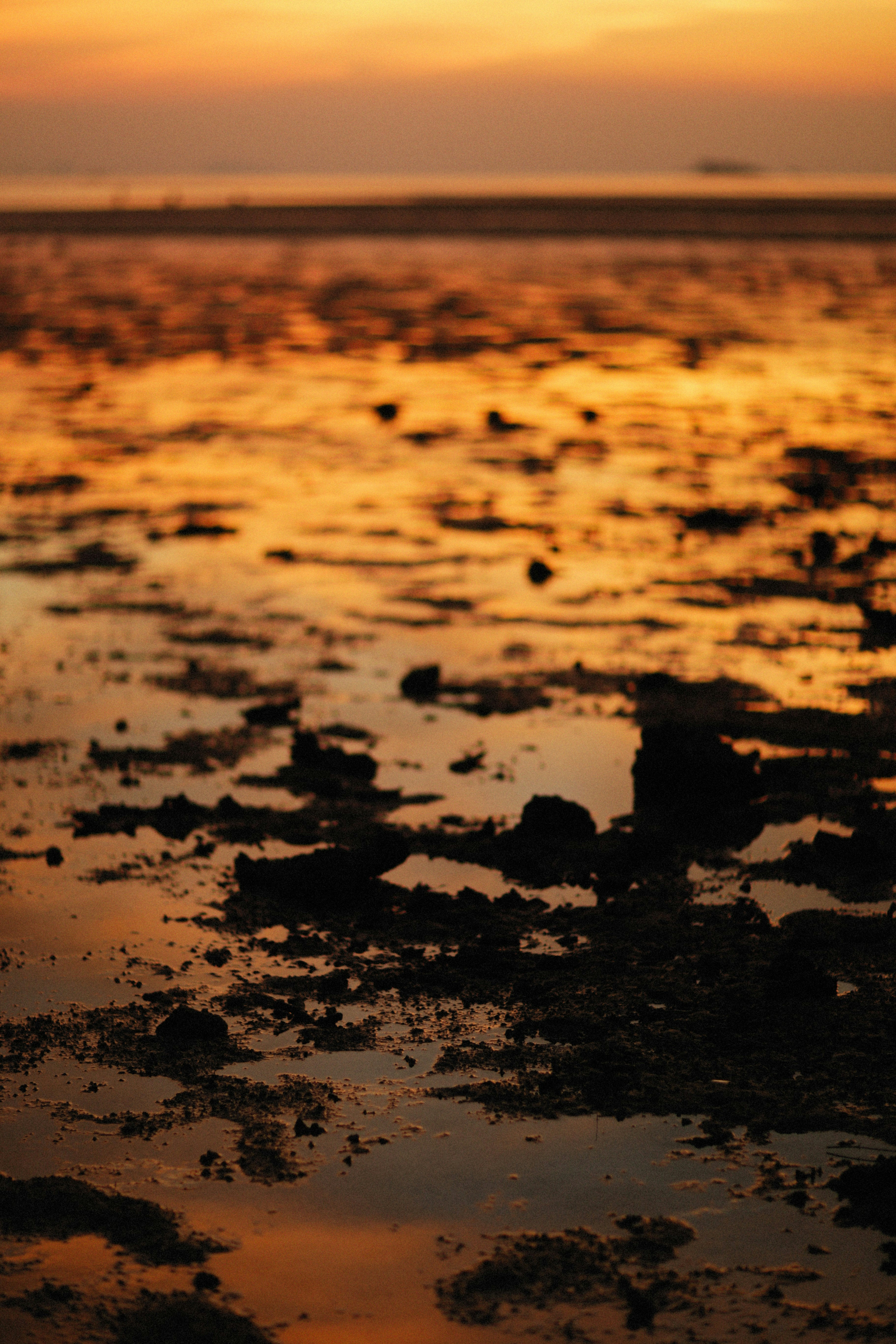 Photo by alexeydemidov