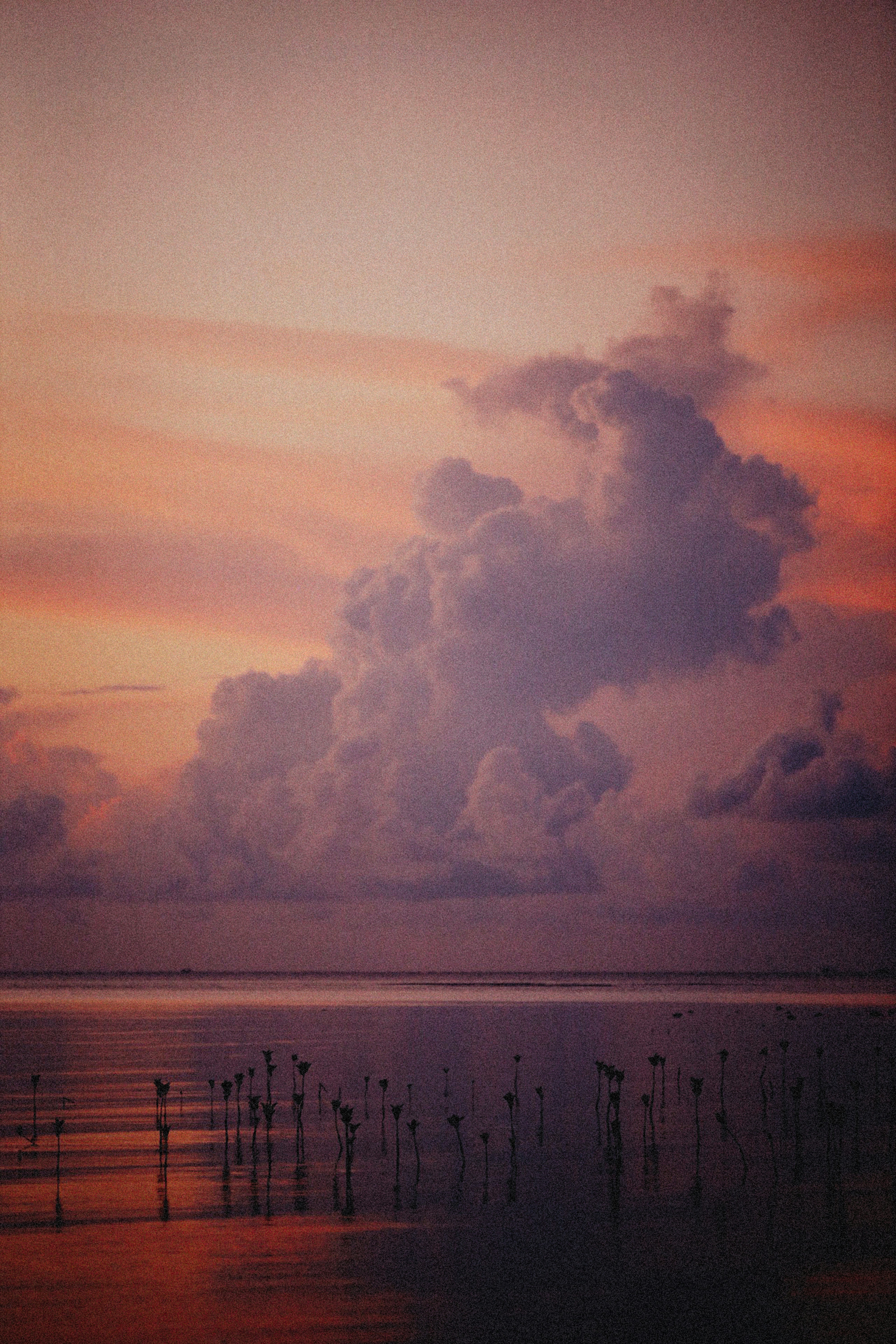 Photo by alexeydemidov