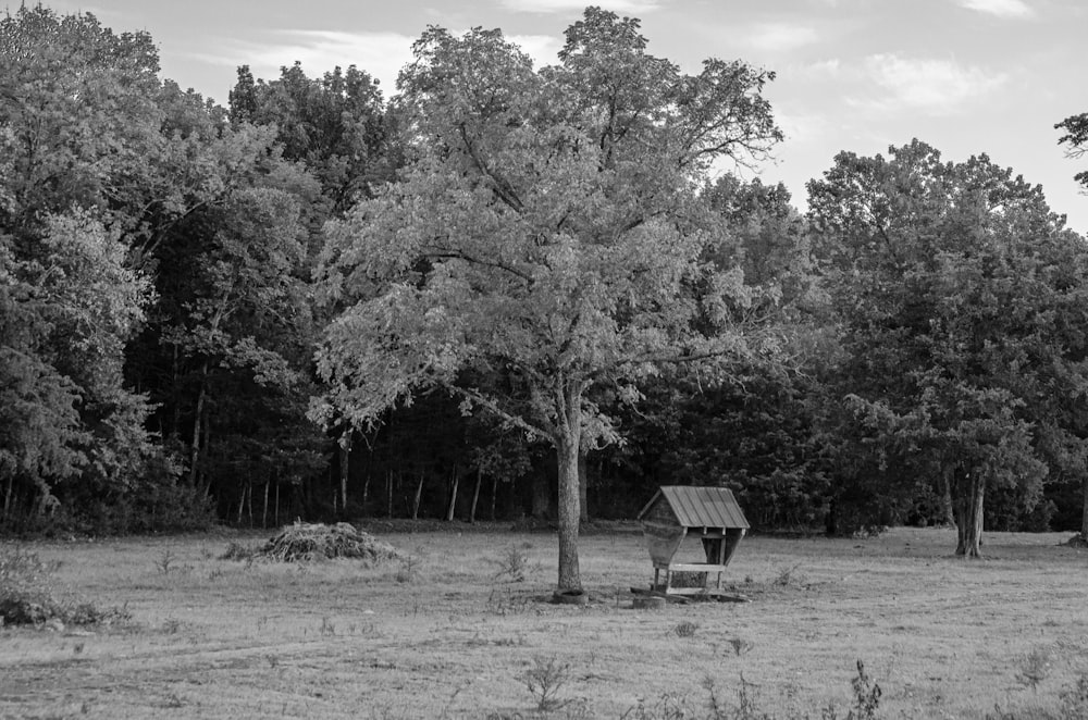 a black and white photo of a bench in a field