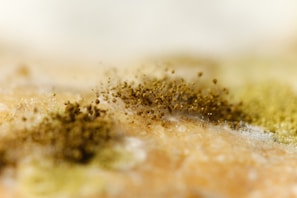 a close up of a pile of dirt