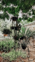 An outdoor garden scene featuring kokedamas among flowers.