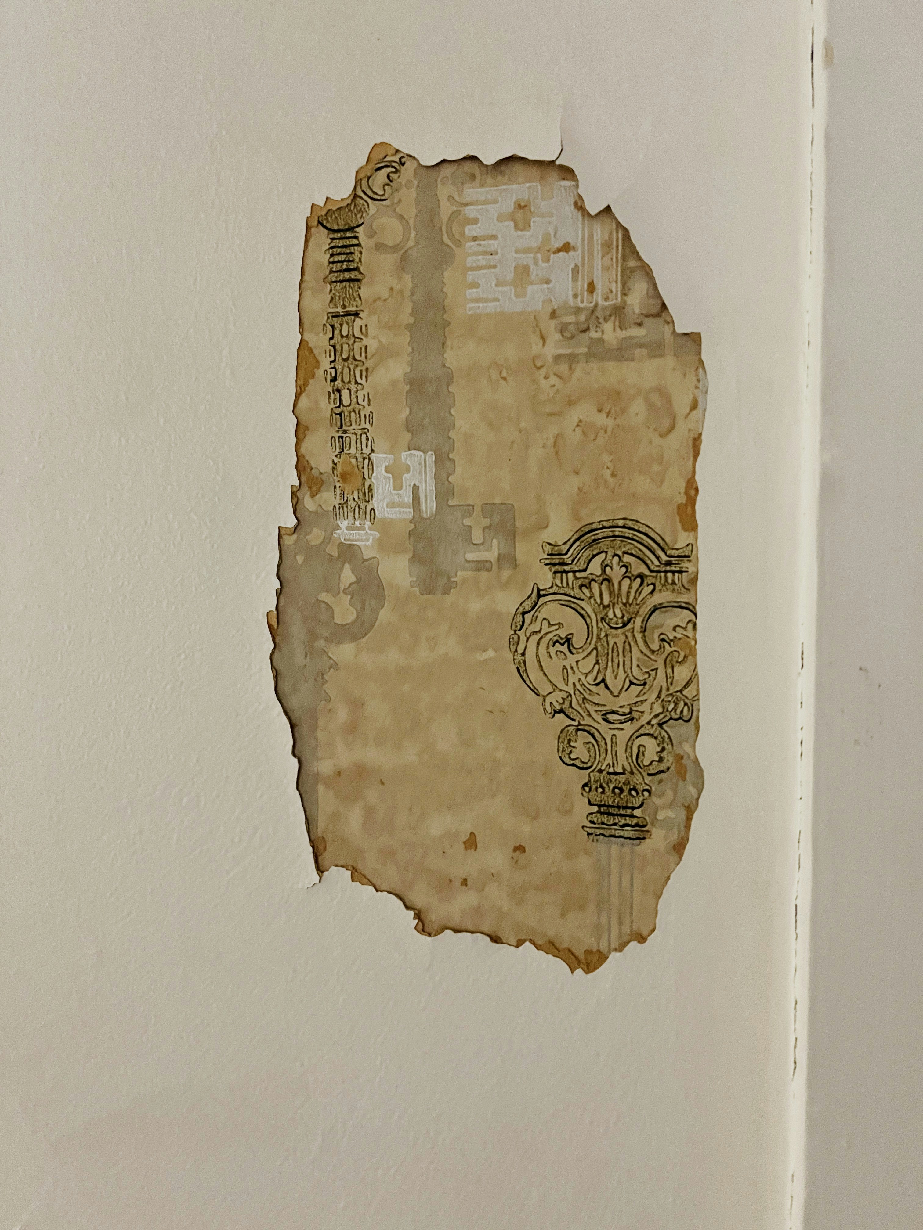 Eco-Friendly Vinyl Wallpaper Collection