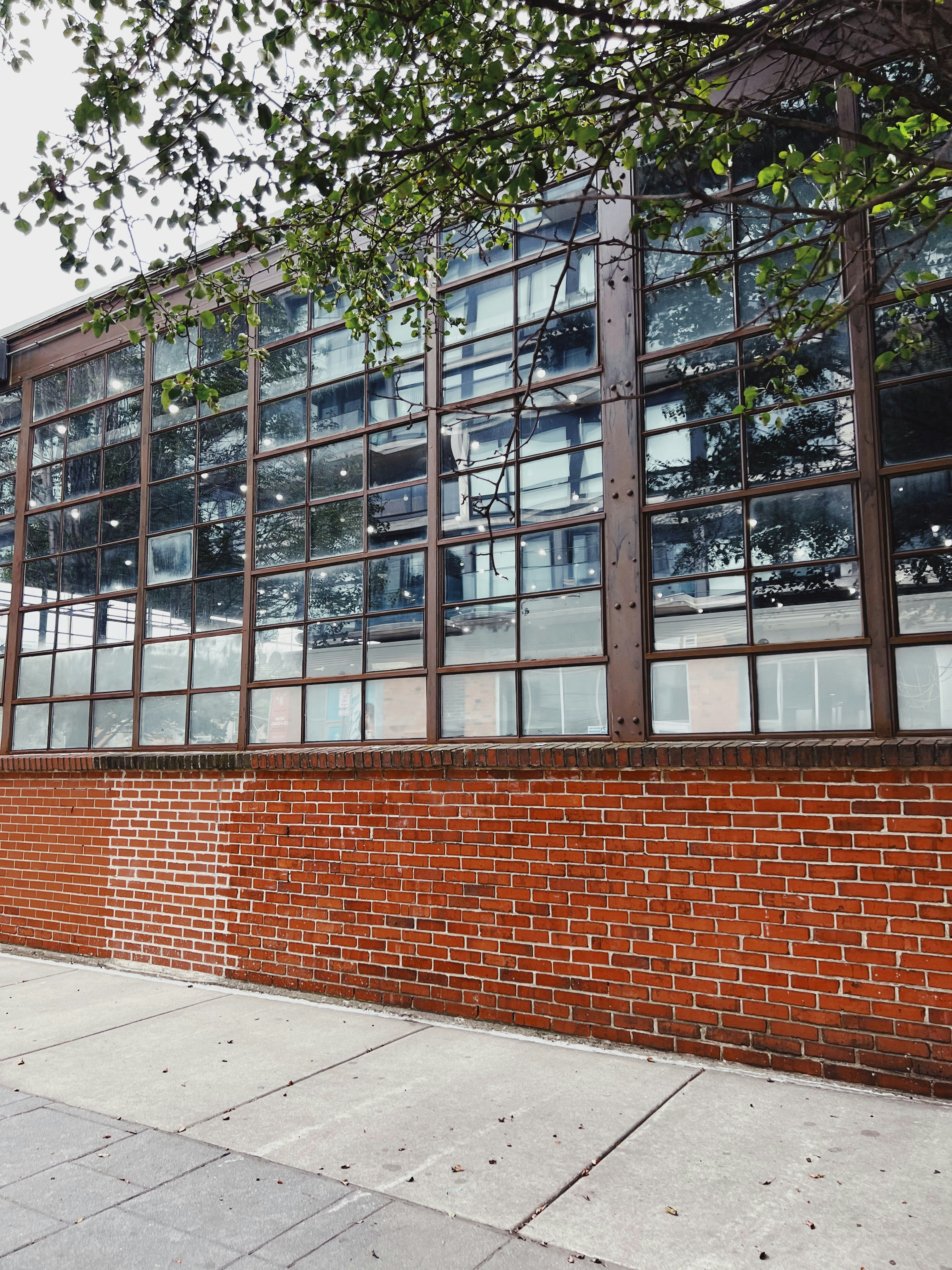 Photo by brandialxndra