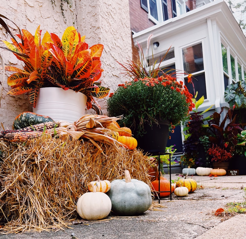 a pile of hay with pumpkins and gourds