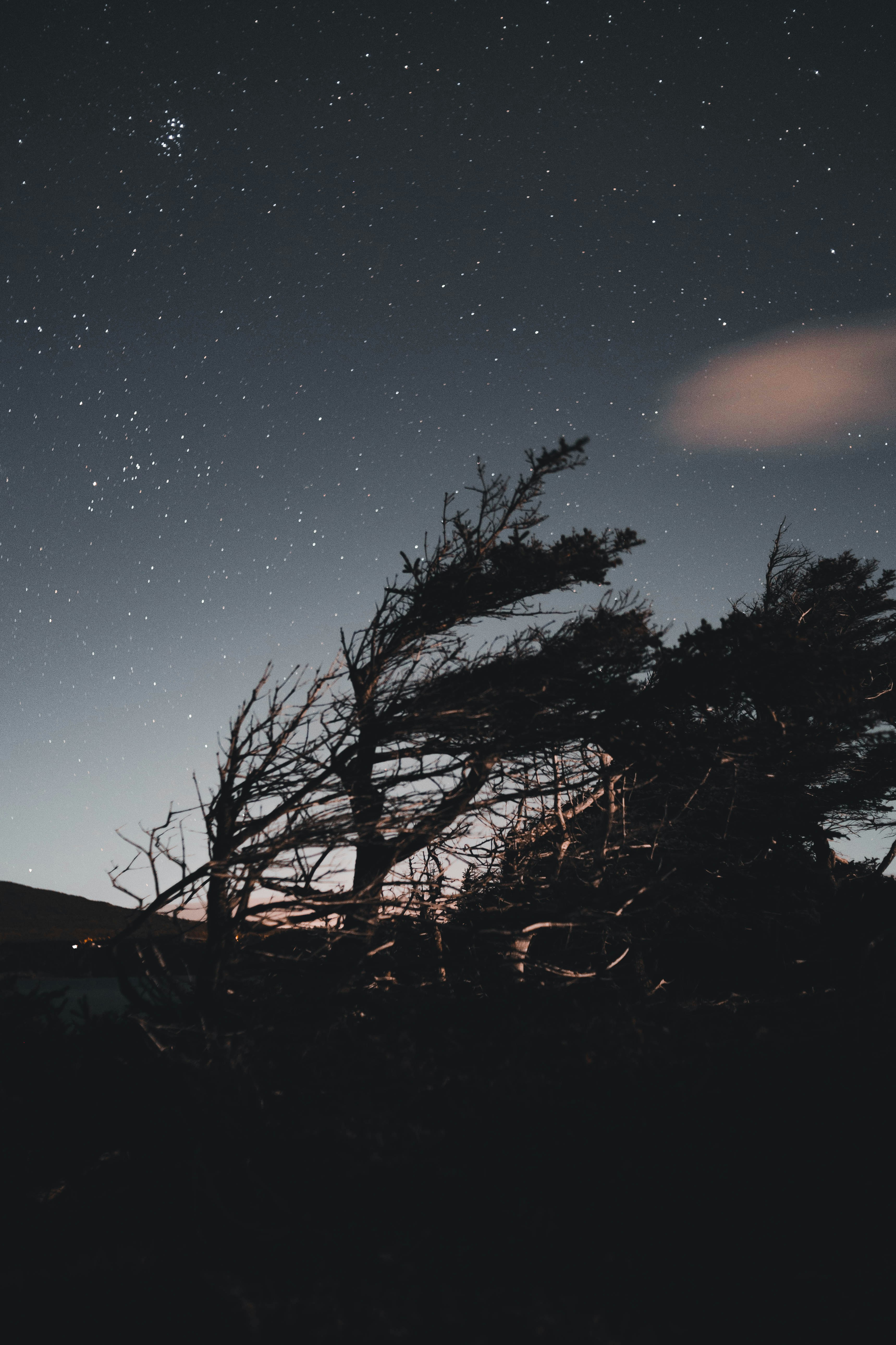 Photo by introspectivedsgn