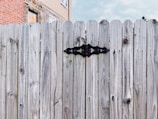 A wooden fence with a prominent black hinge, set against a background of a brick and stone building.