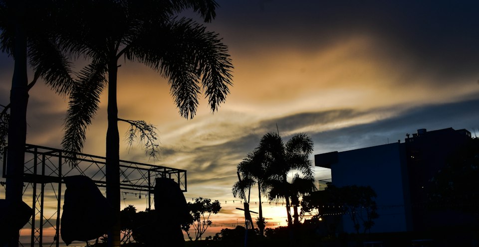 Silhouetted palm trees against a dramatic sky at sunset on a Thai beach