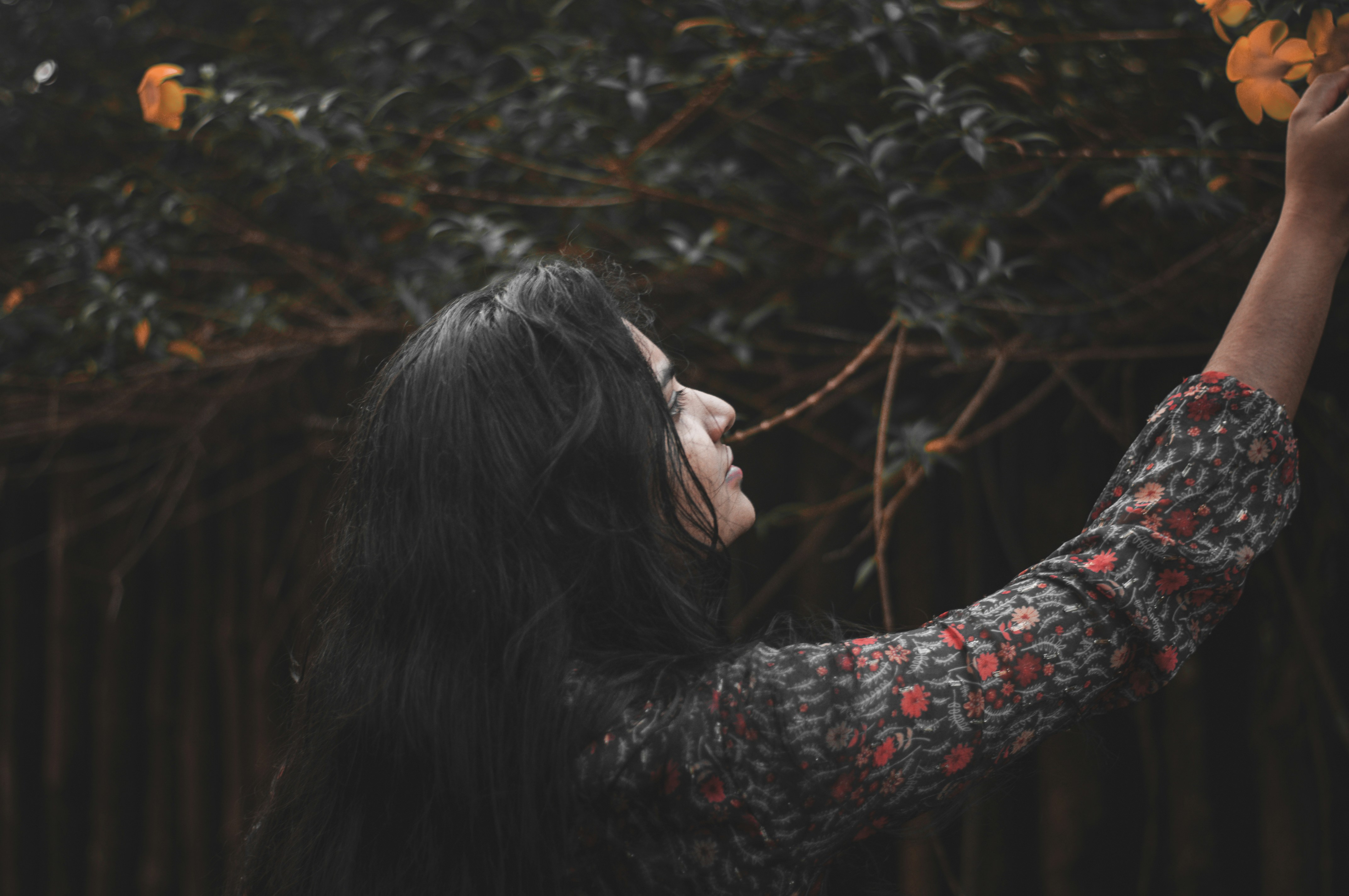 Photo by sharathsinstastories