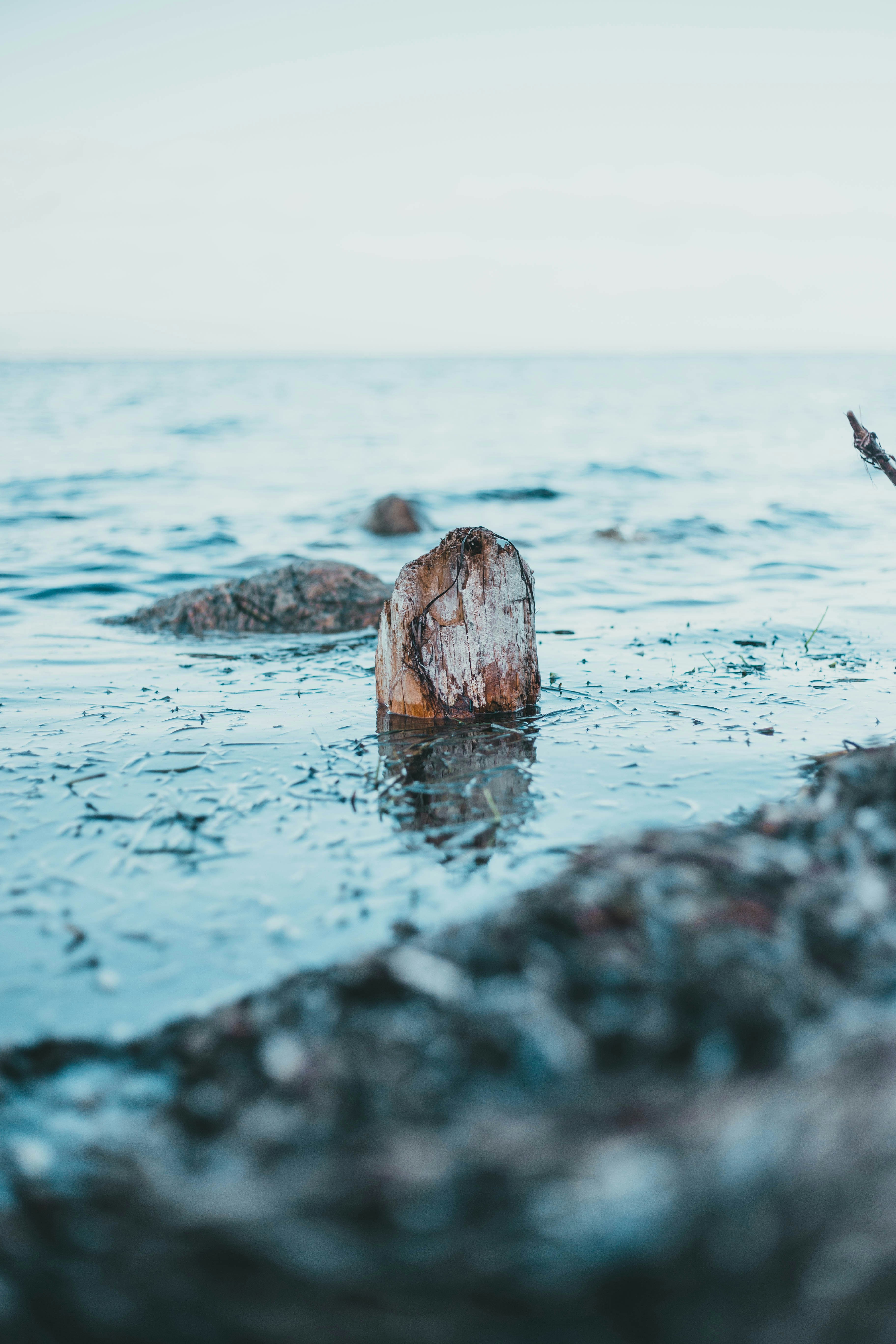 Photo by introspectivedsgn