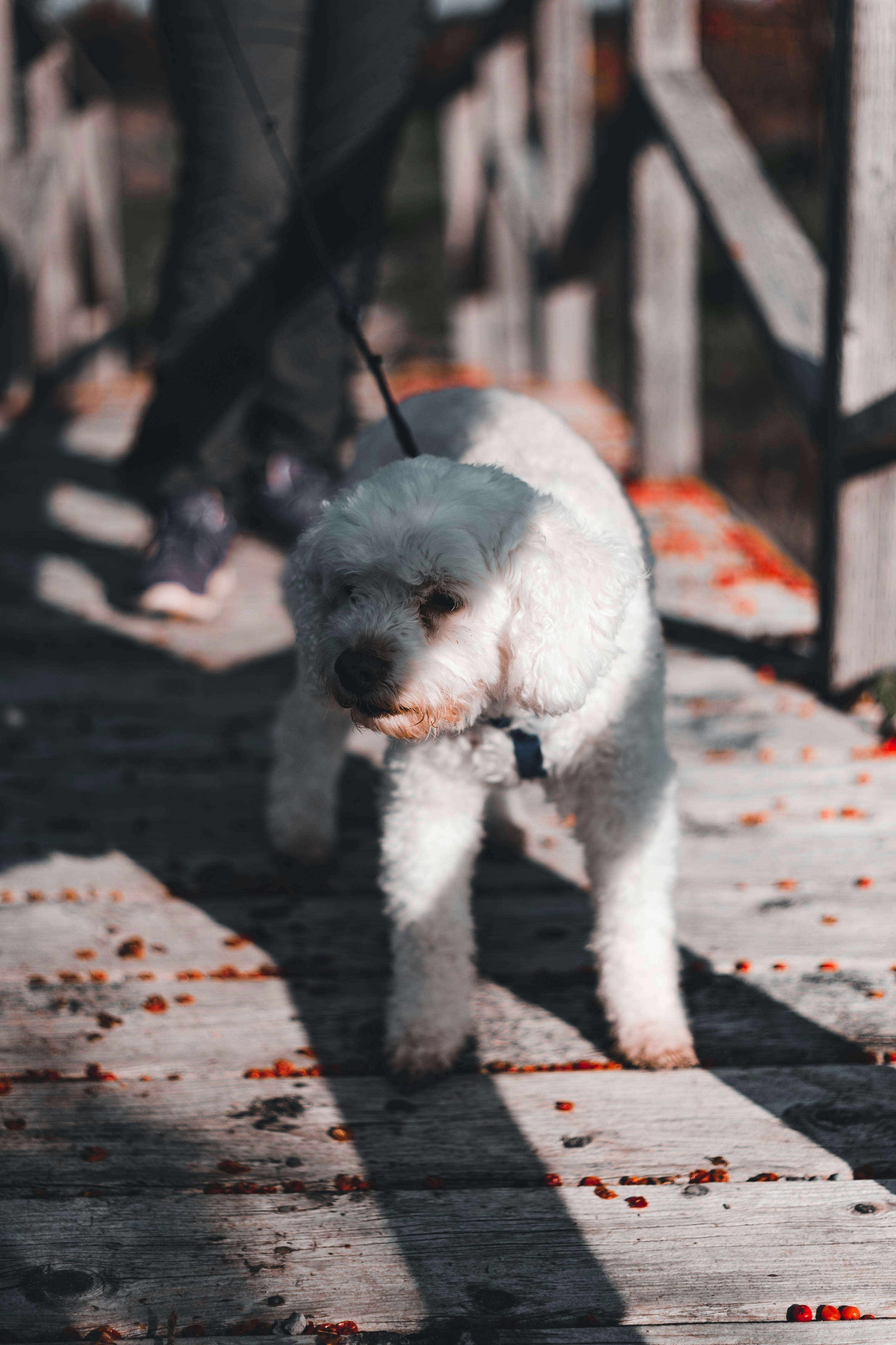 Photo by introspectivedsgn