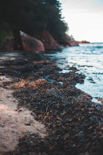 A quiet open plot in Uran with a distant view of the sea.