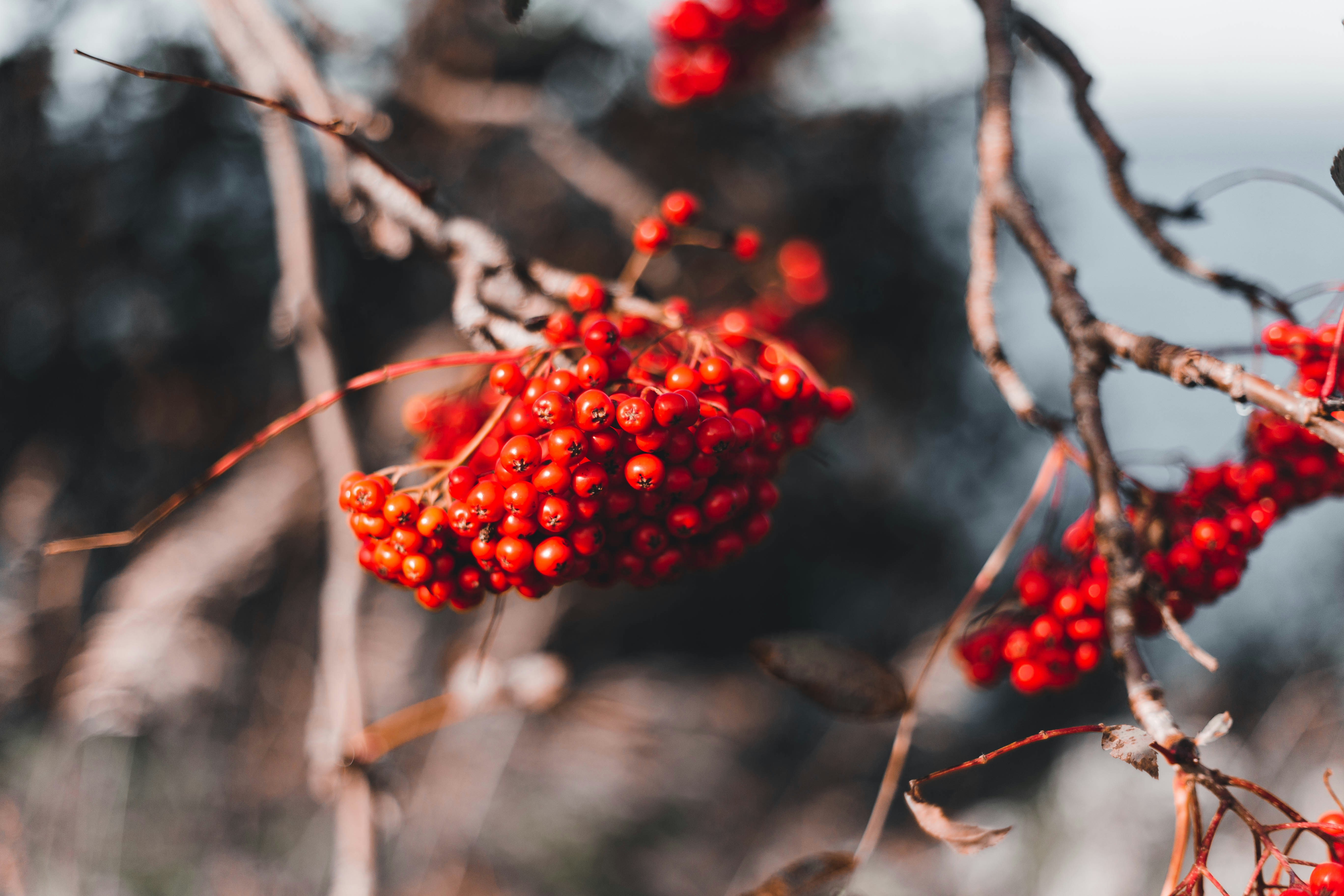 Photo by introspectivedsgn