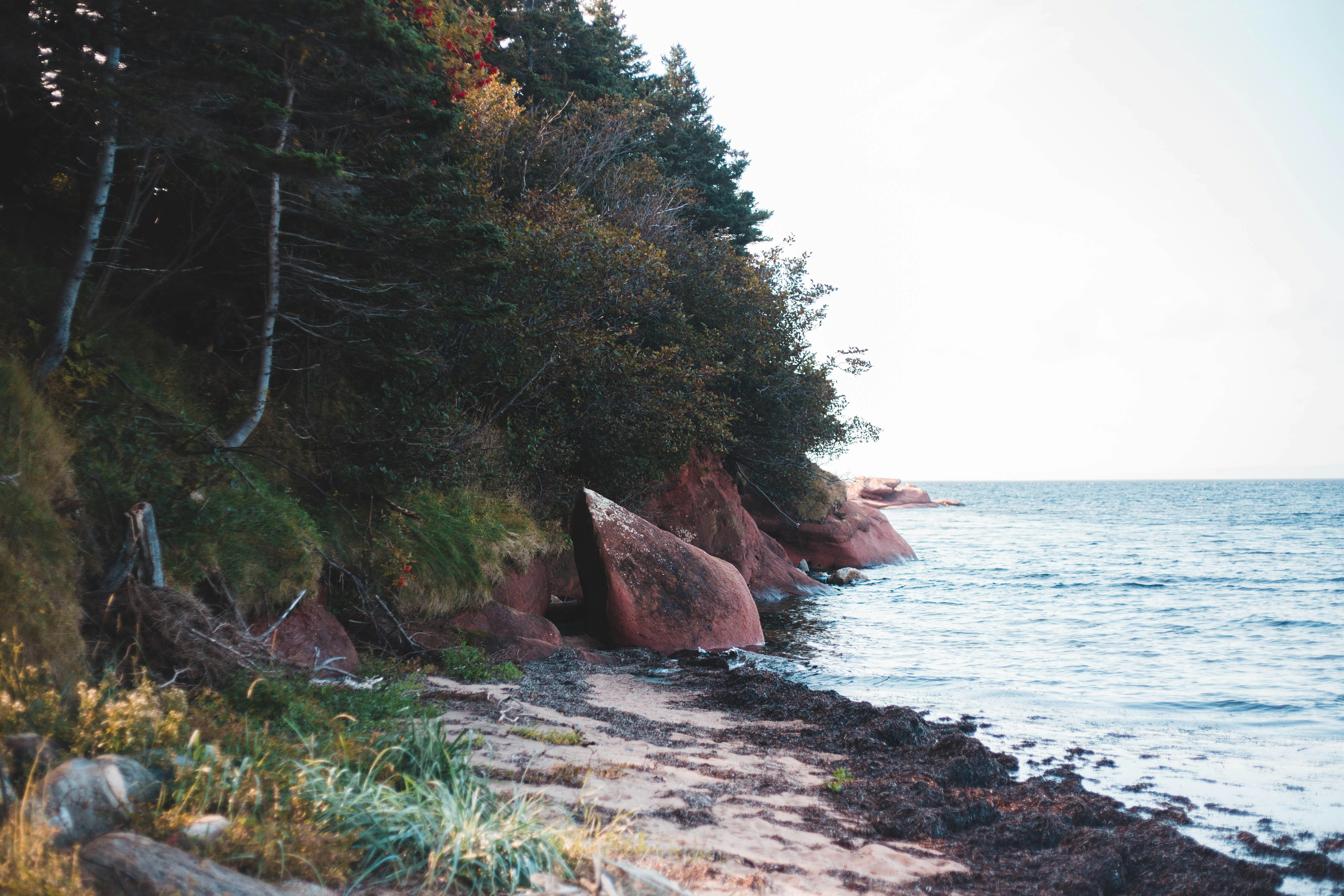 Photo by introspectivedsgn