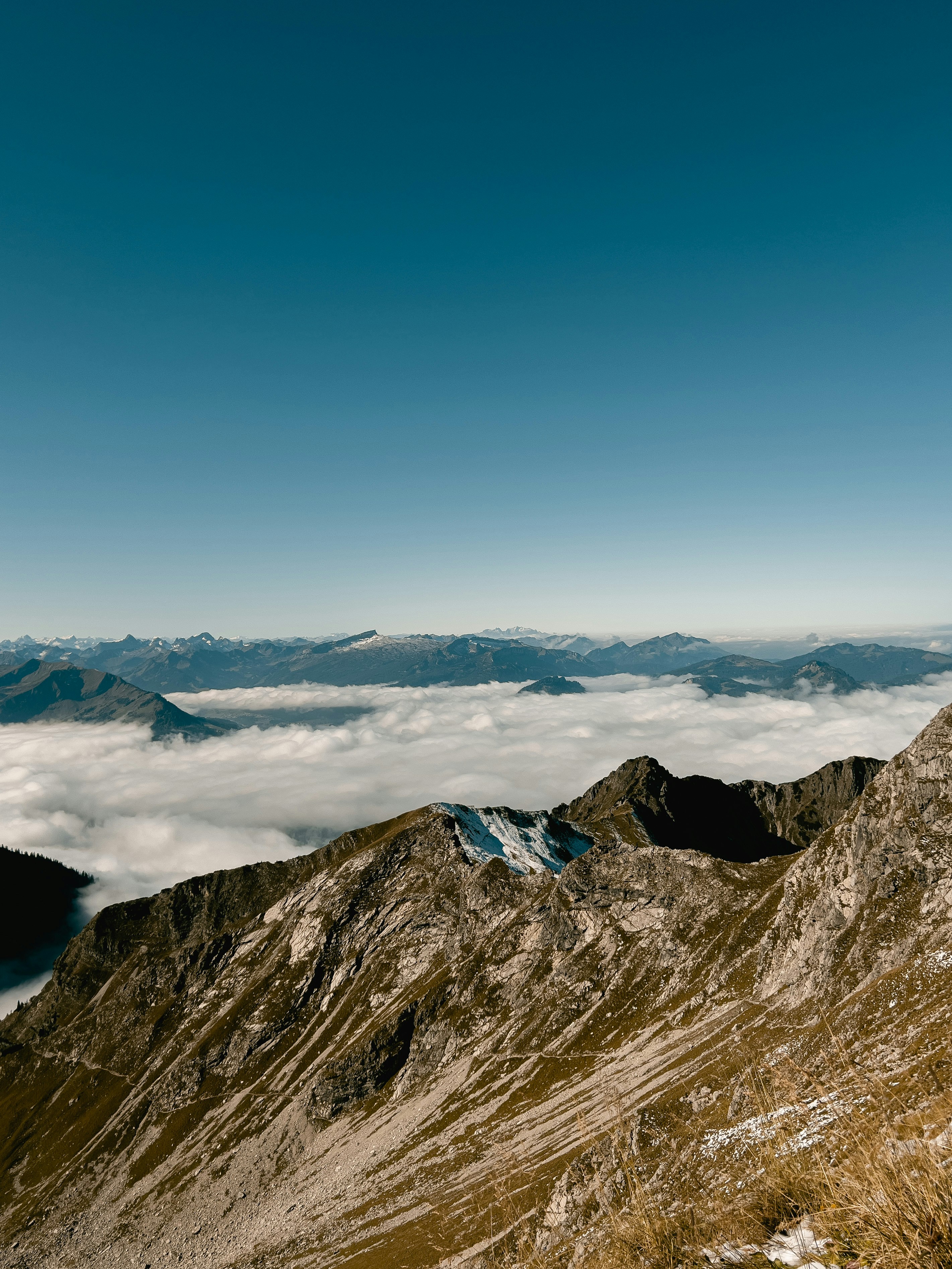 Photo by steffen______