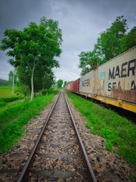 A railway track extends into the distance, flanked by lush green grass and trees. On one side of the track is a line of cargo containers from Maersk, stretching into the distance under a cloudy sky.