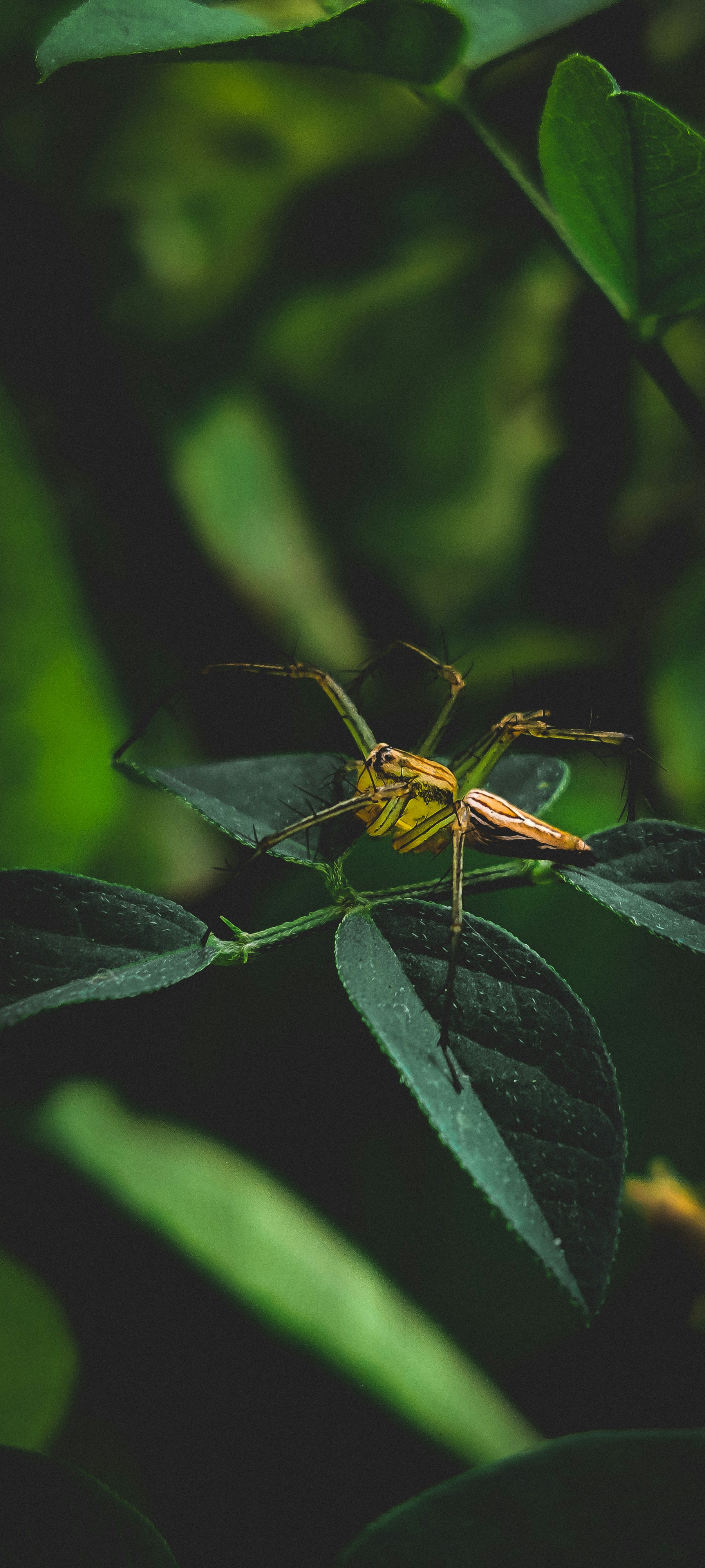 Photo by suryaneghaa