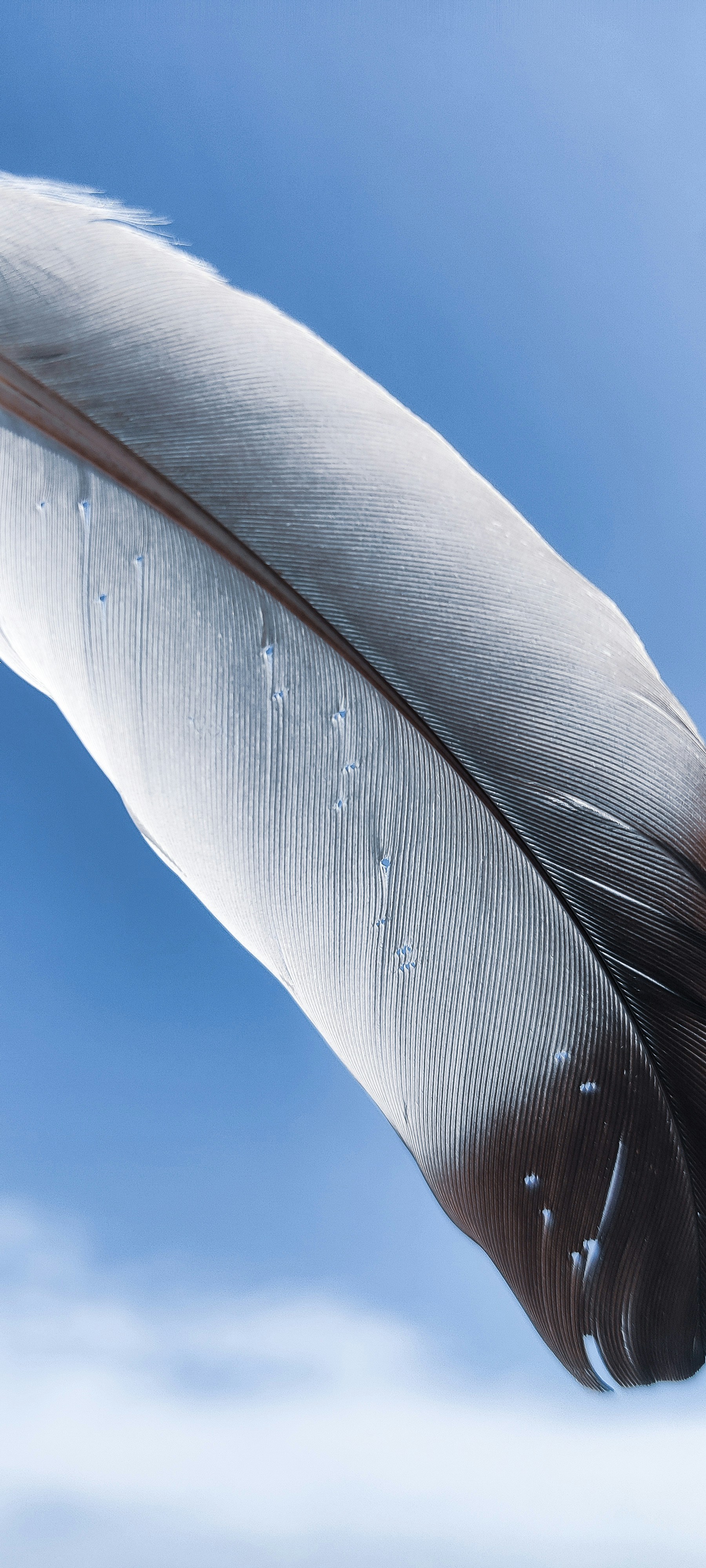 Photo by suryaneghaa