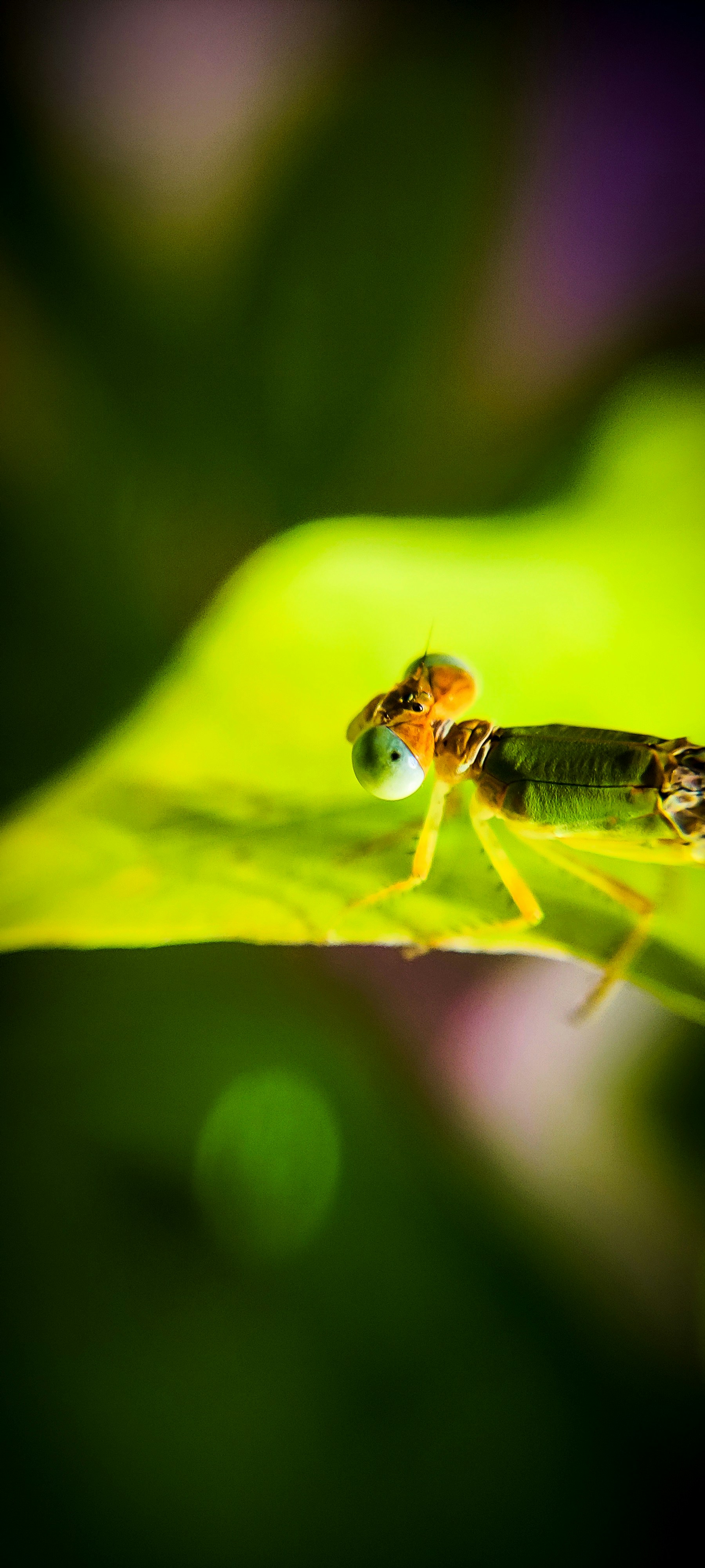 Photo by suryaneghaa