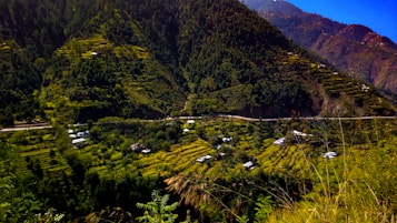 A lush, green valley with terraced fields and scattered houses nestled among dense forests. The landscape is mountainous, with a clear blue sky above the forested hills. The sunlight illuminates the terraced fields, highlighting the various shades of green.