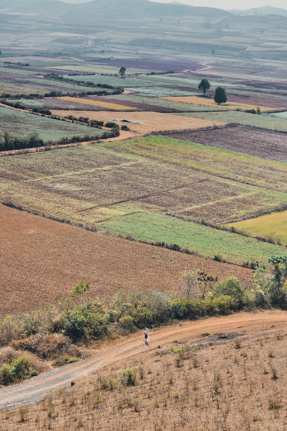 a person riding a horse down a dirt road