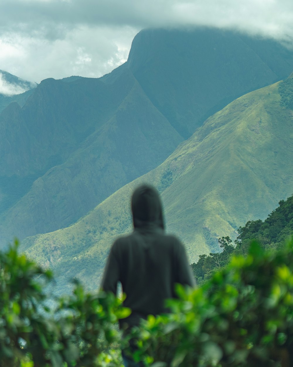 a person standing in front of a mountain range