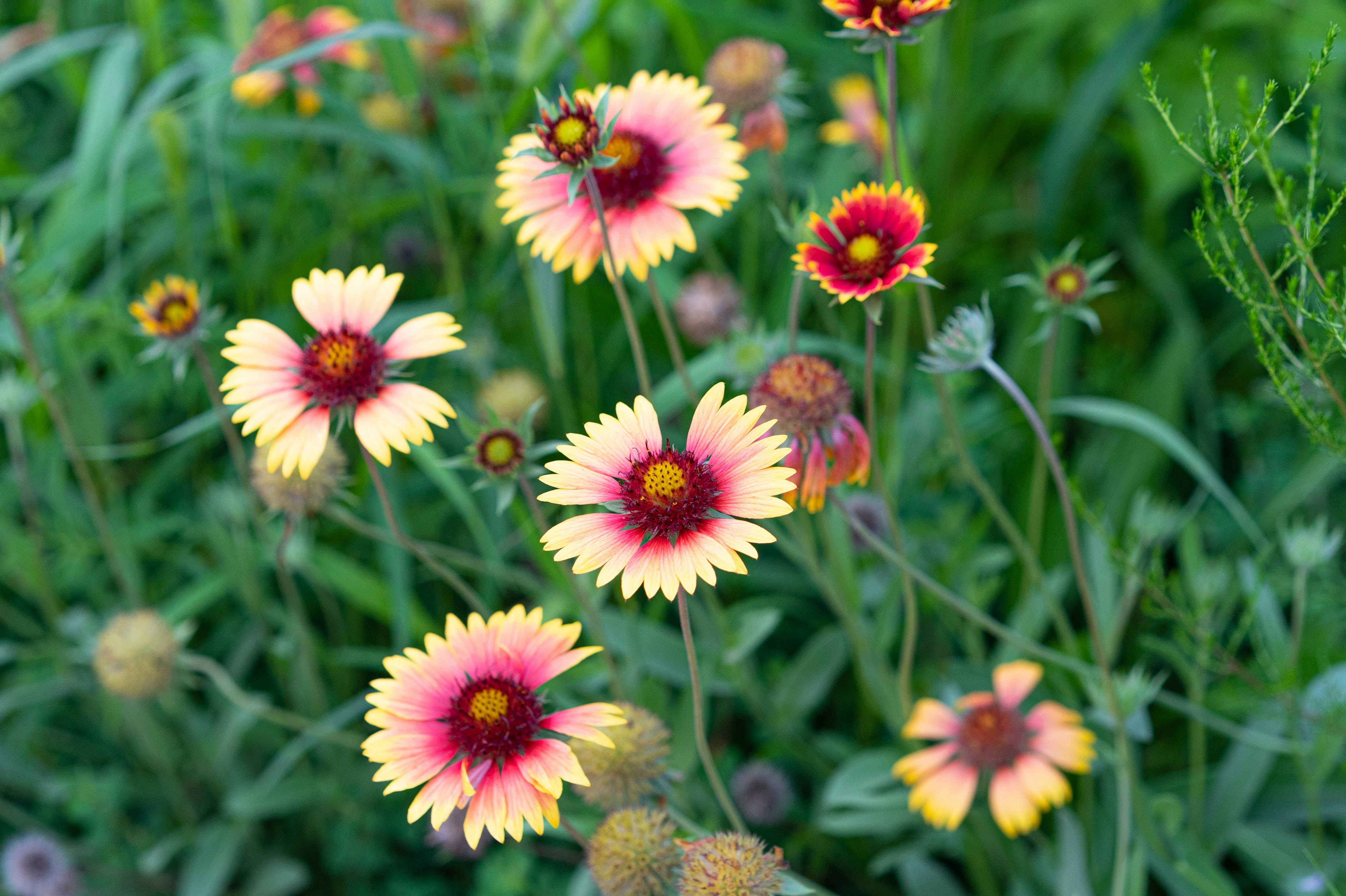 Photo by alexanderxiaoyu