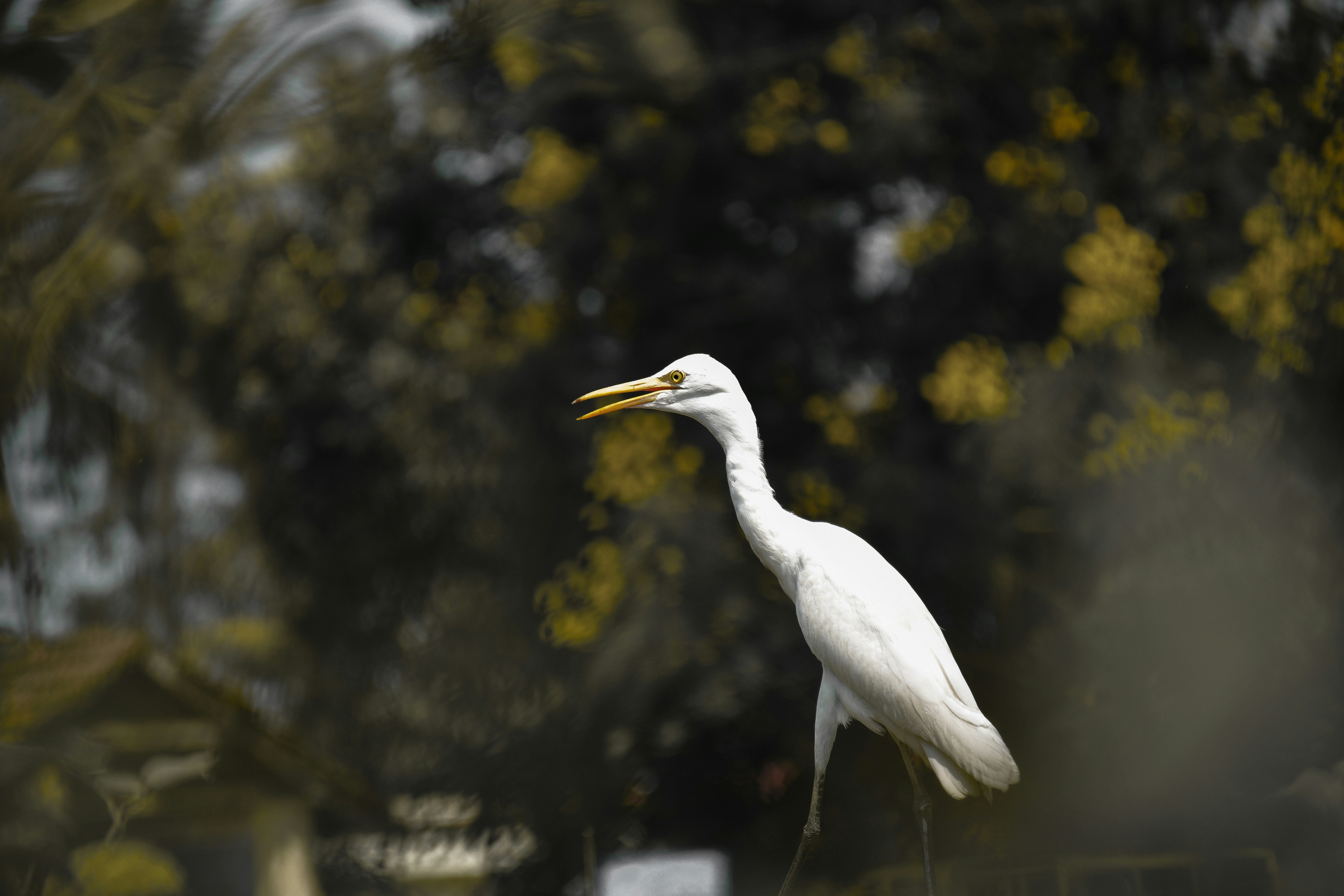 Photo by sujith_naik