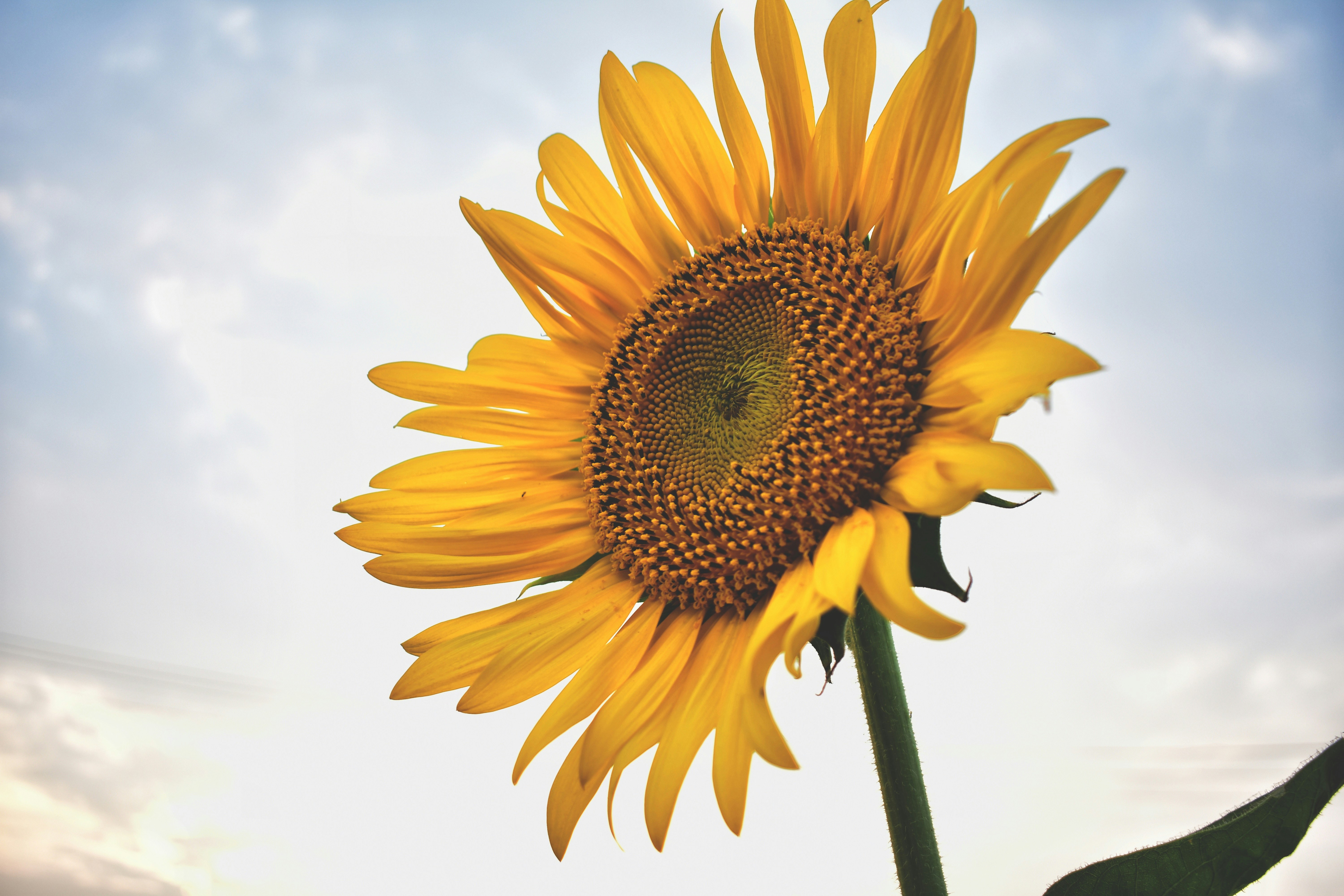 Photo by atomsmasher