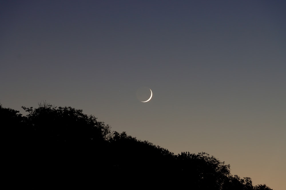 a crescent moon is seen in the sky above trees