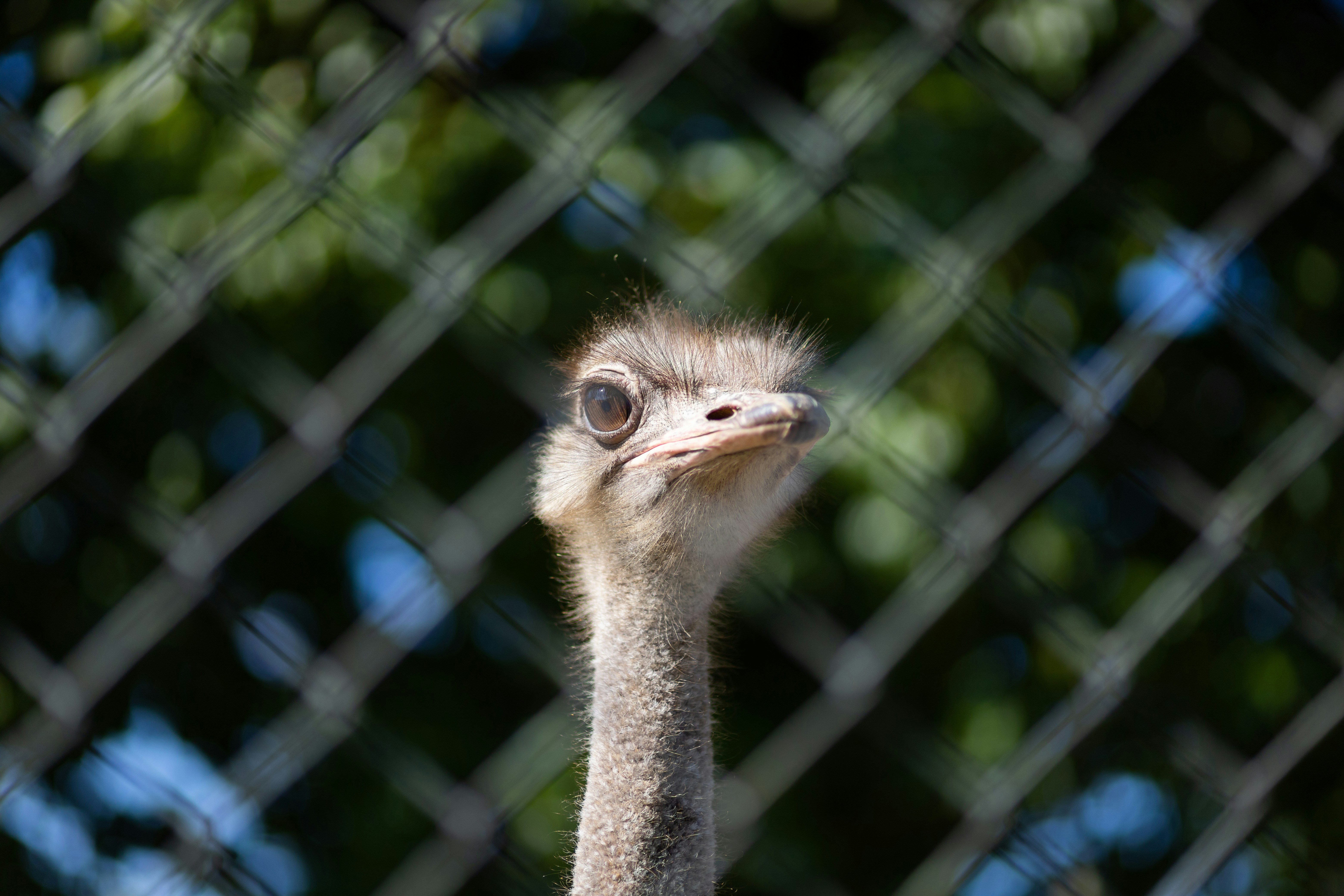 Photo by victor_vector