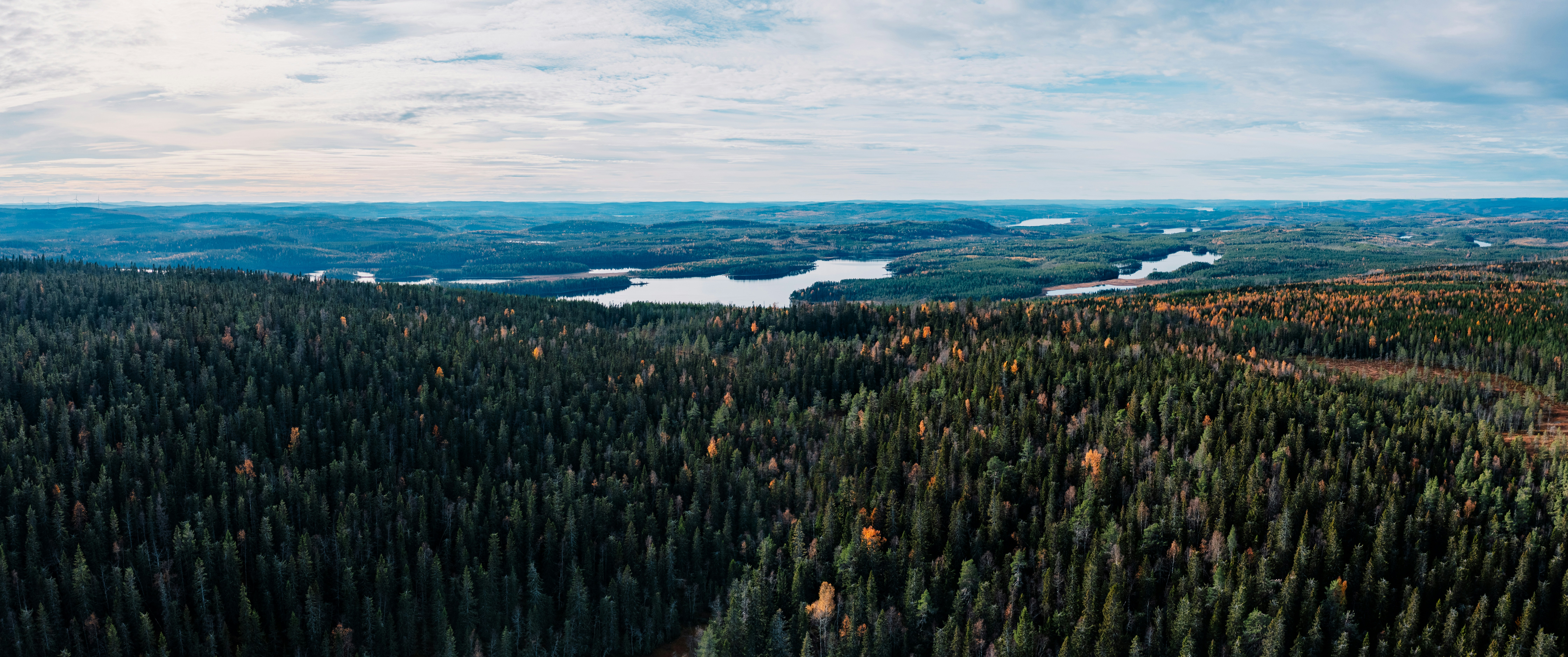 Photo by hendrikpeter