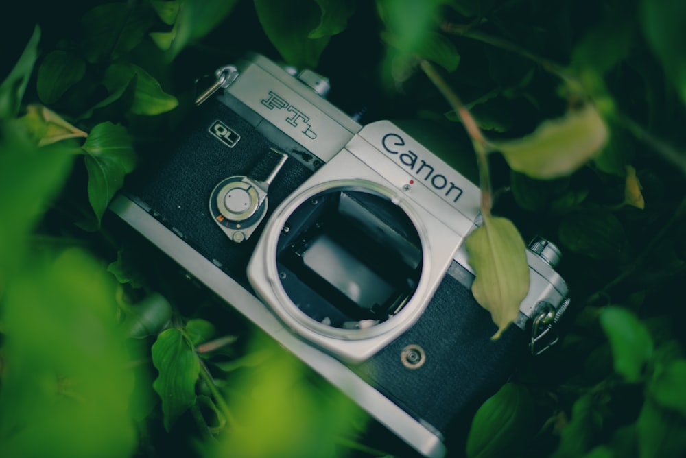 a close up of a camera in the grass